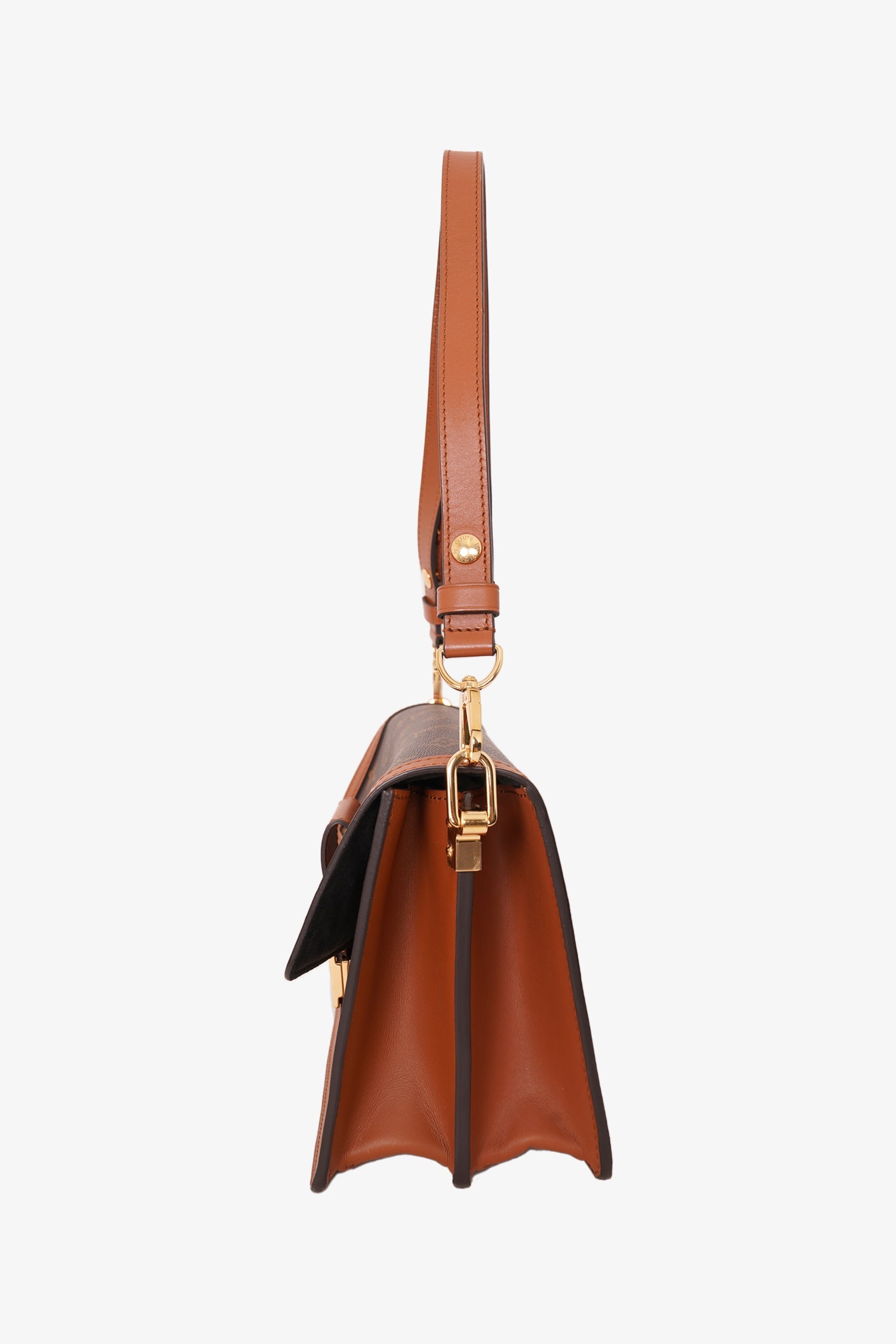 Louis Vuitton Autres Toiles Monogram Dauphine MM Shoulder Bag