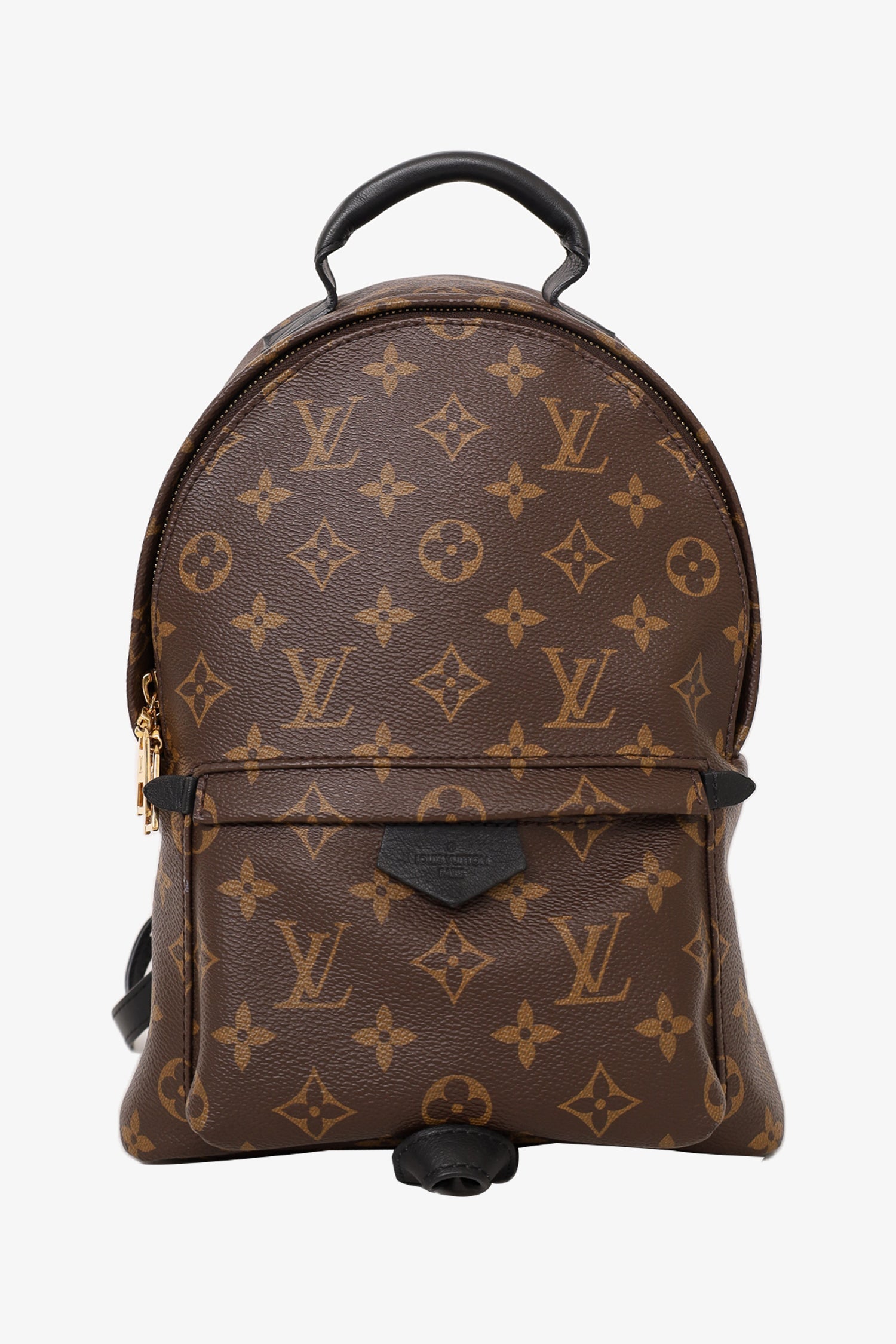 Louis Vuitton Brown Monogram Palm Spring Backpack PM