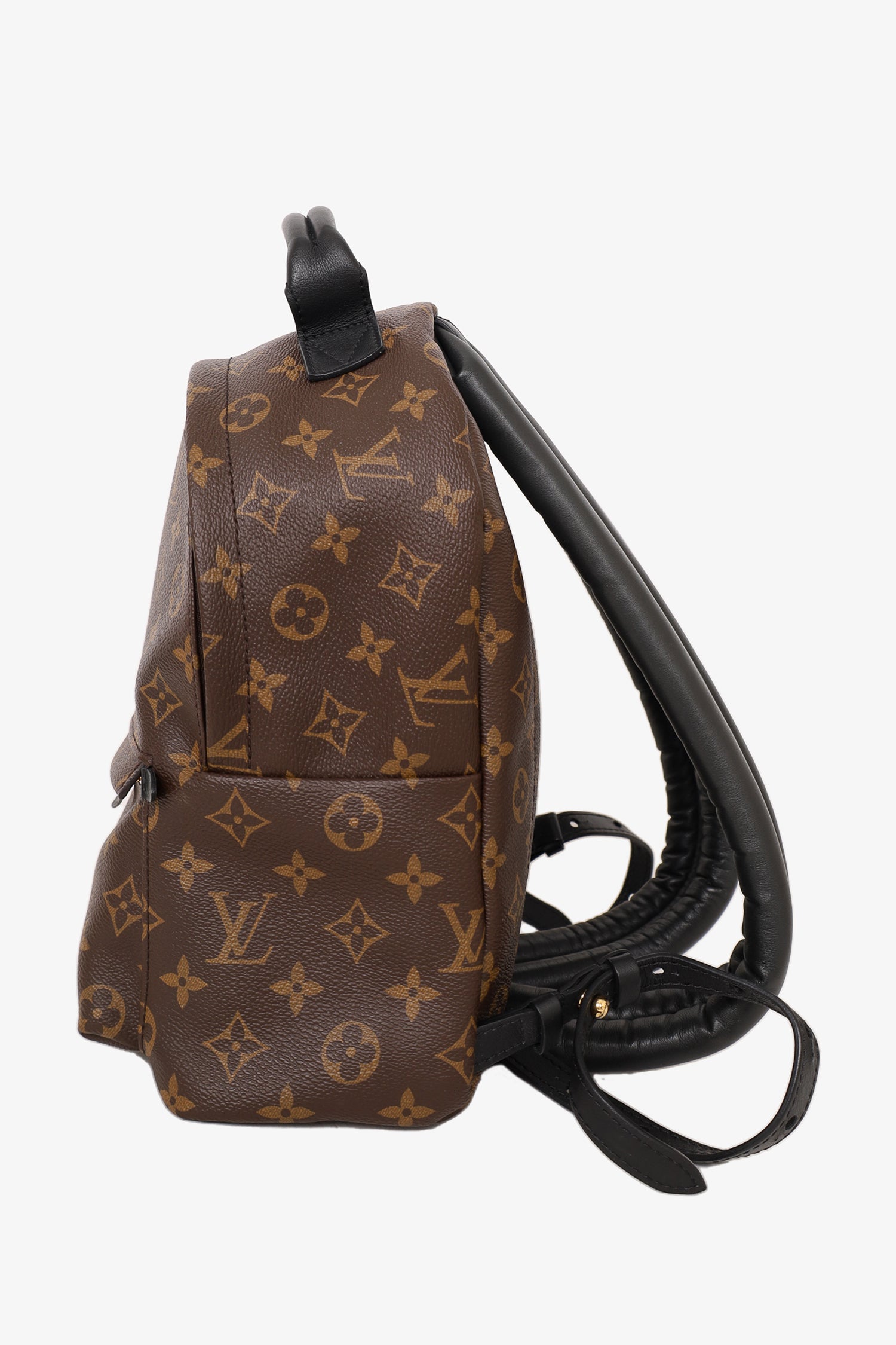 Louis Vuitton Brown Monogram Palm Spring Backpack PM