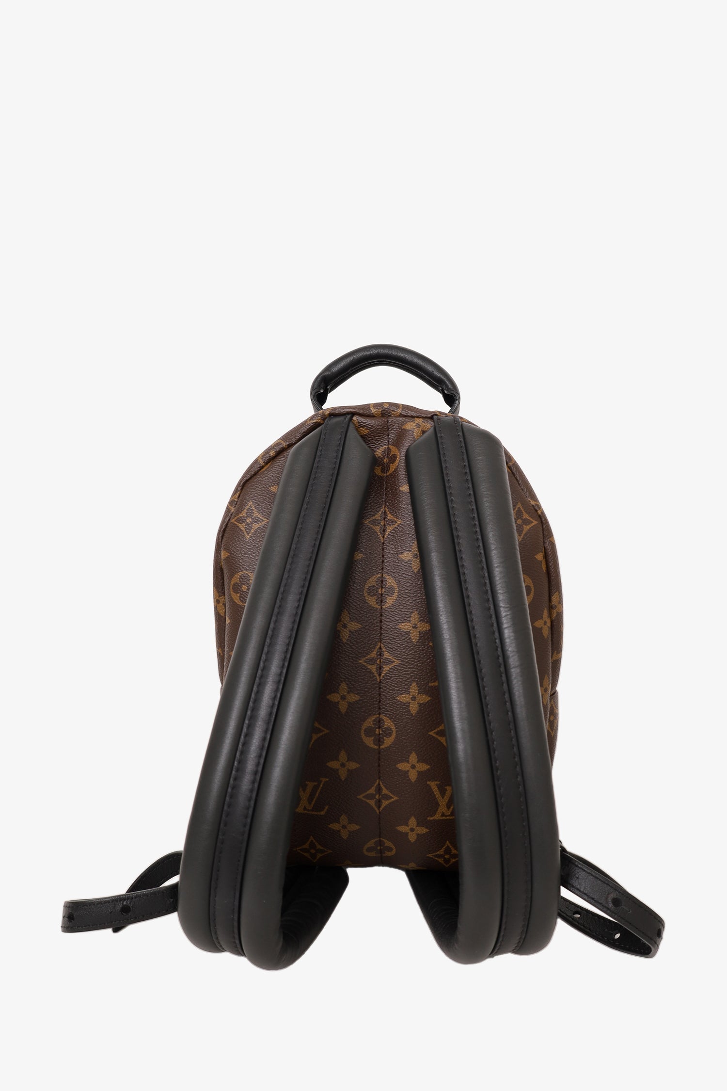Louis Vuitton Brown Monogram Palm Spring Backpack PM