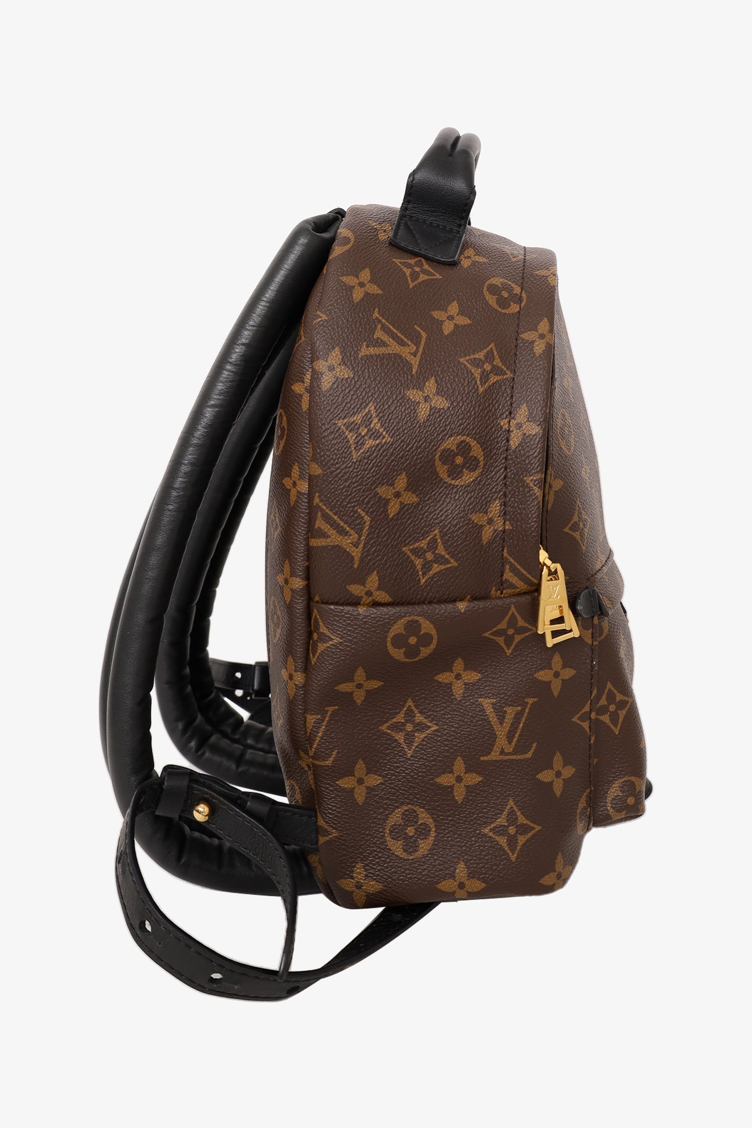 Louis Vuitton Brown Monogram Palm Spring Backpack PM