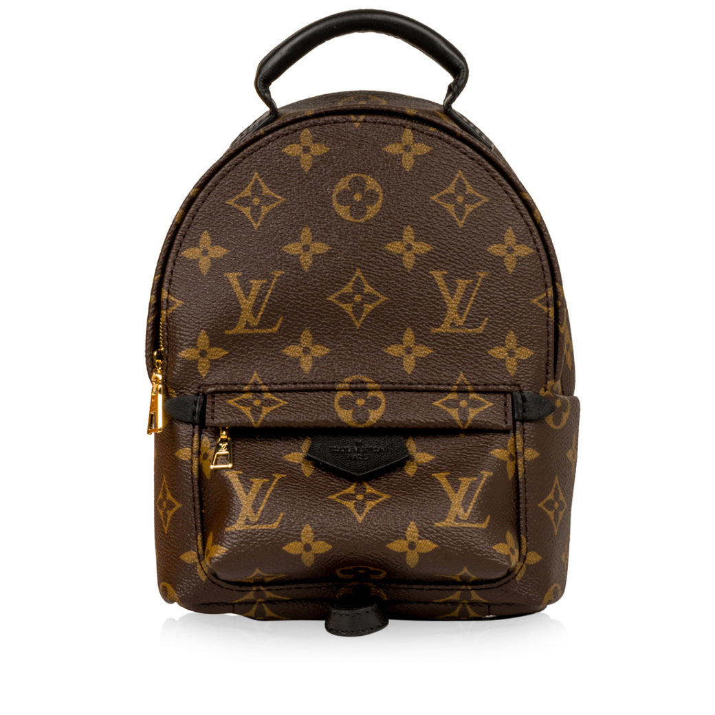 Louis Vuitton Palm Springs Backpack - Mini
