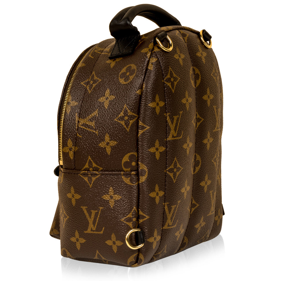 Louis Vuitton Palm Springs Backpack - Mini