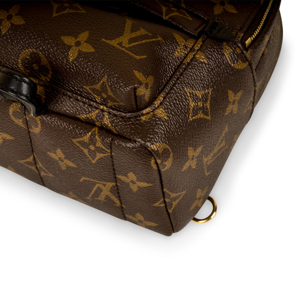 Louis Vuitton Palm Springs Backpack - Mini