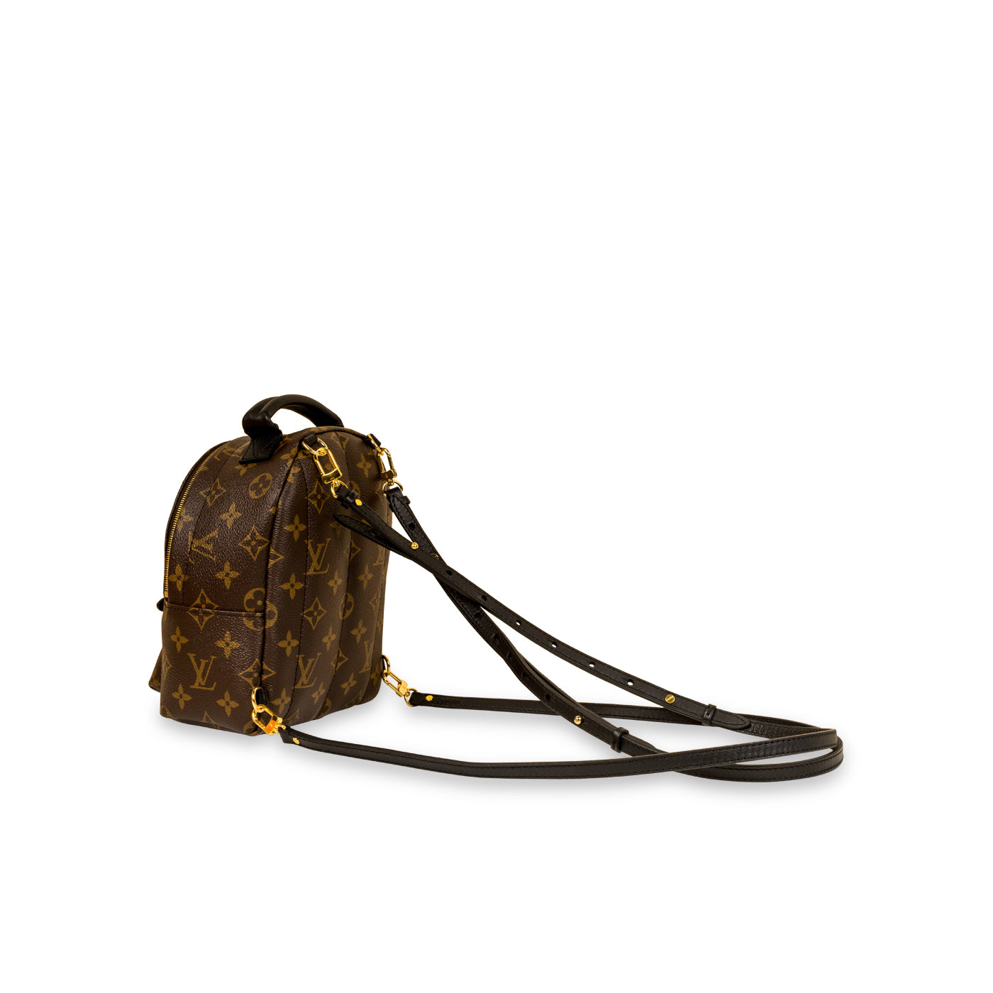 Louis Vuitton Palm Springs Backpack - Mini