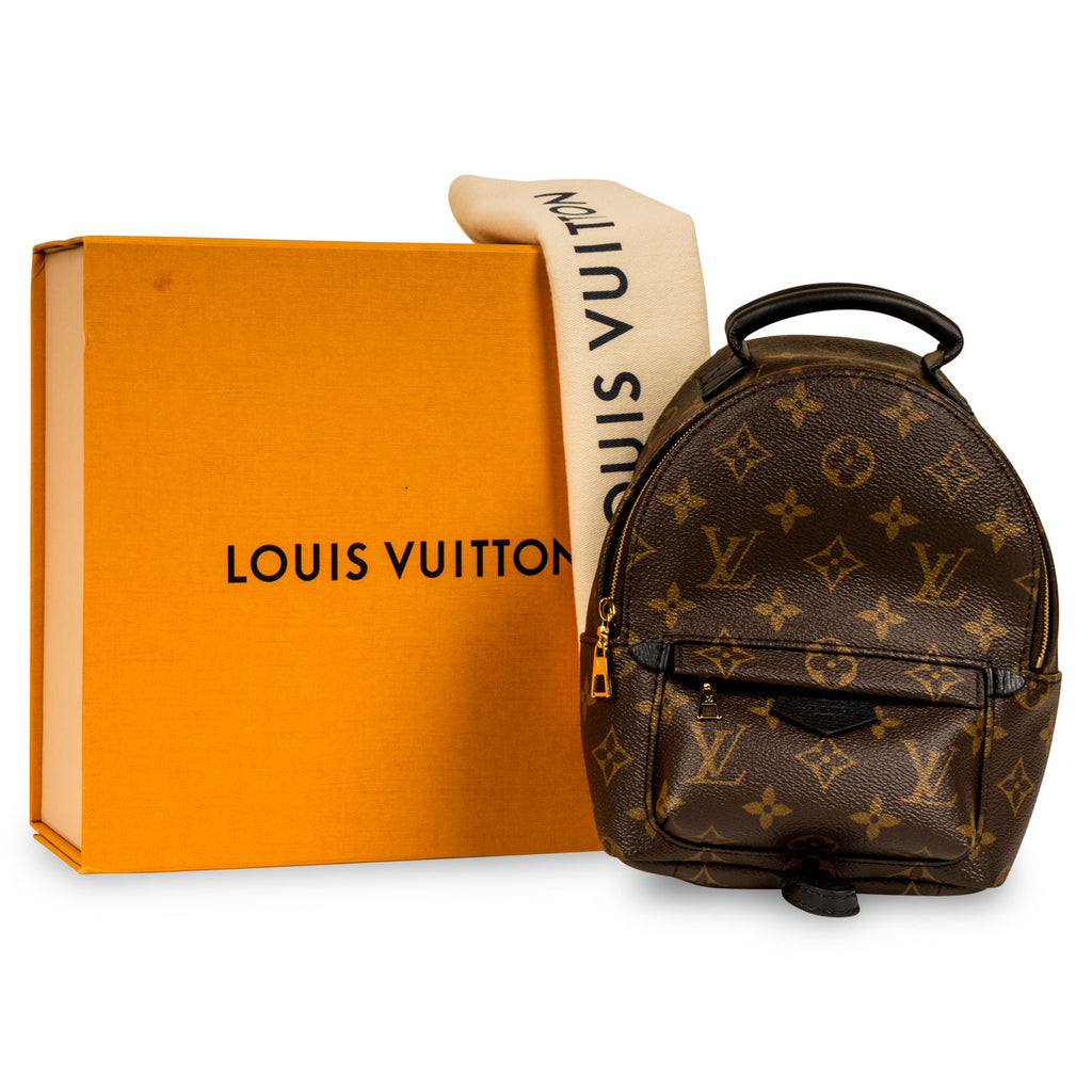 Louis Vuitton Palm Springs Backpack - Mini