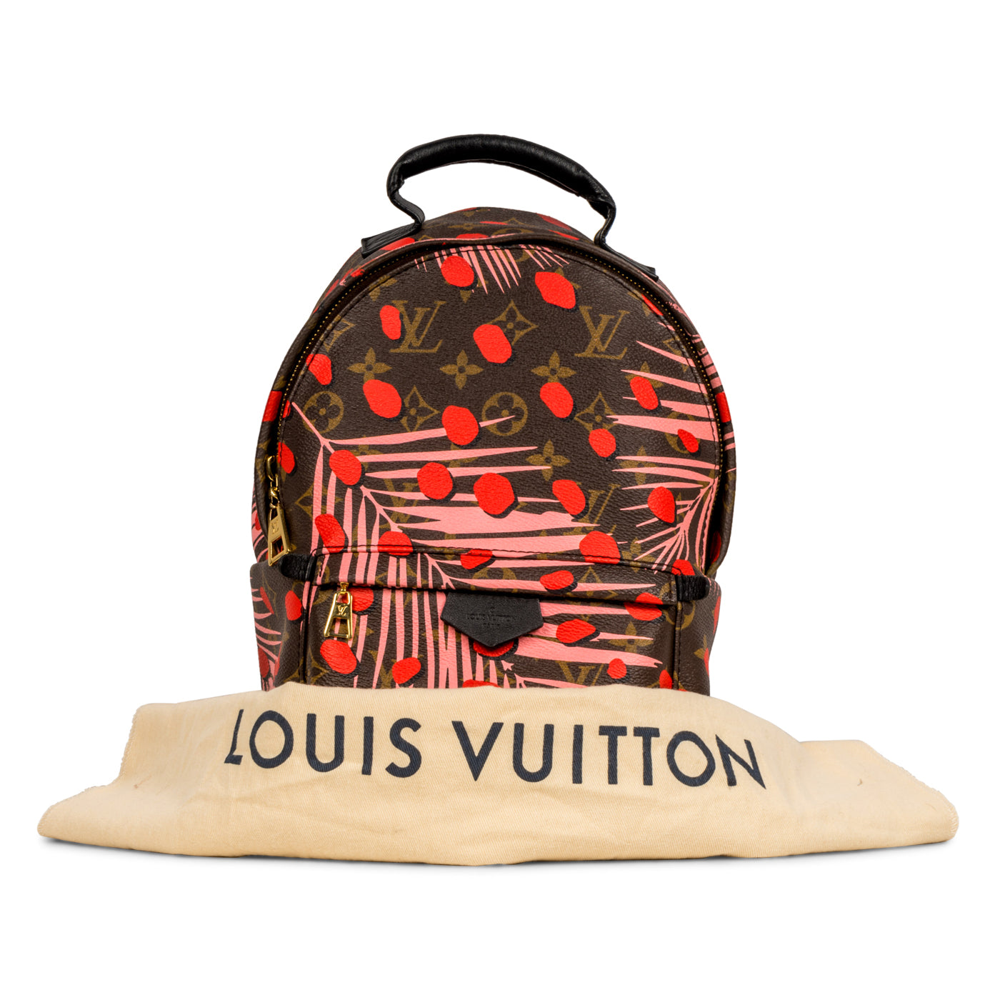 Louis Vuitton Palm Springs Backpack PM - Jungle Monogram