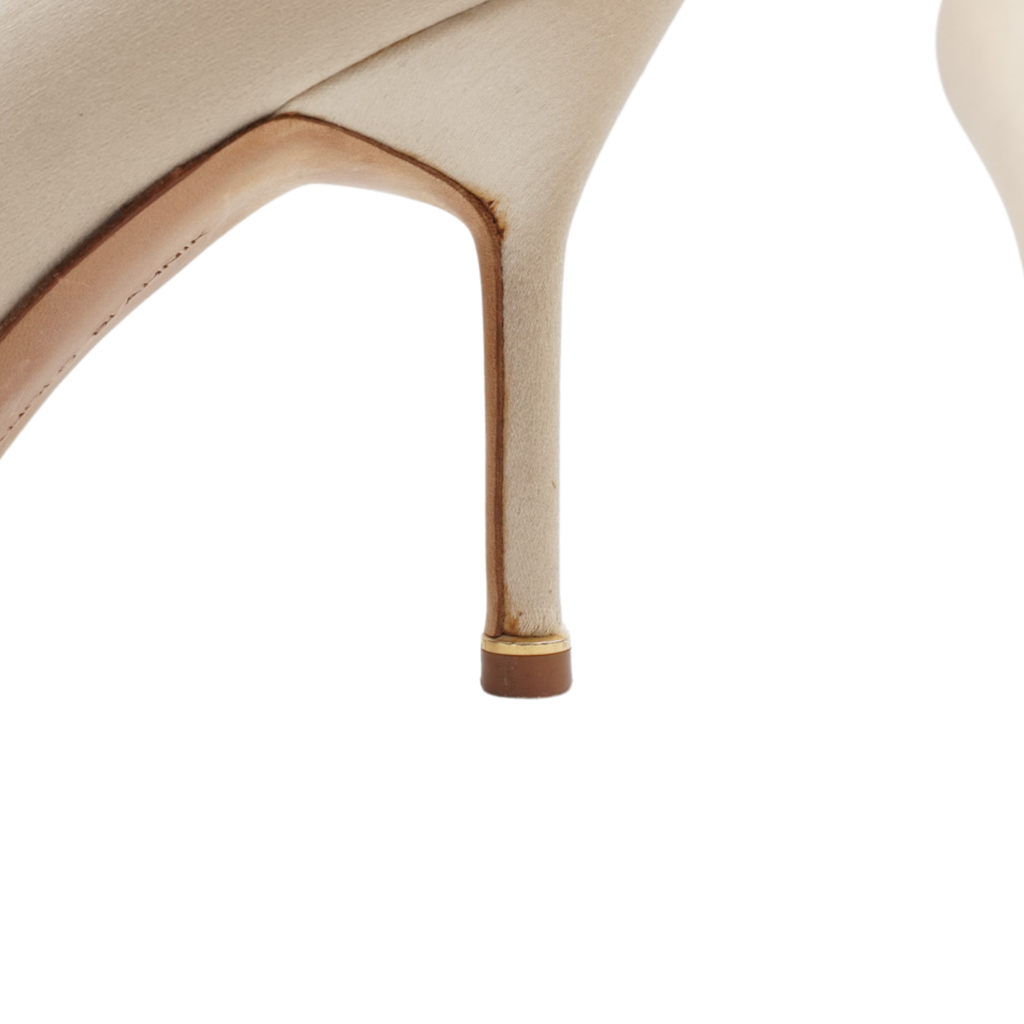 Manolo Blahnik 'Hangisi' Pumps - Women's 37