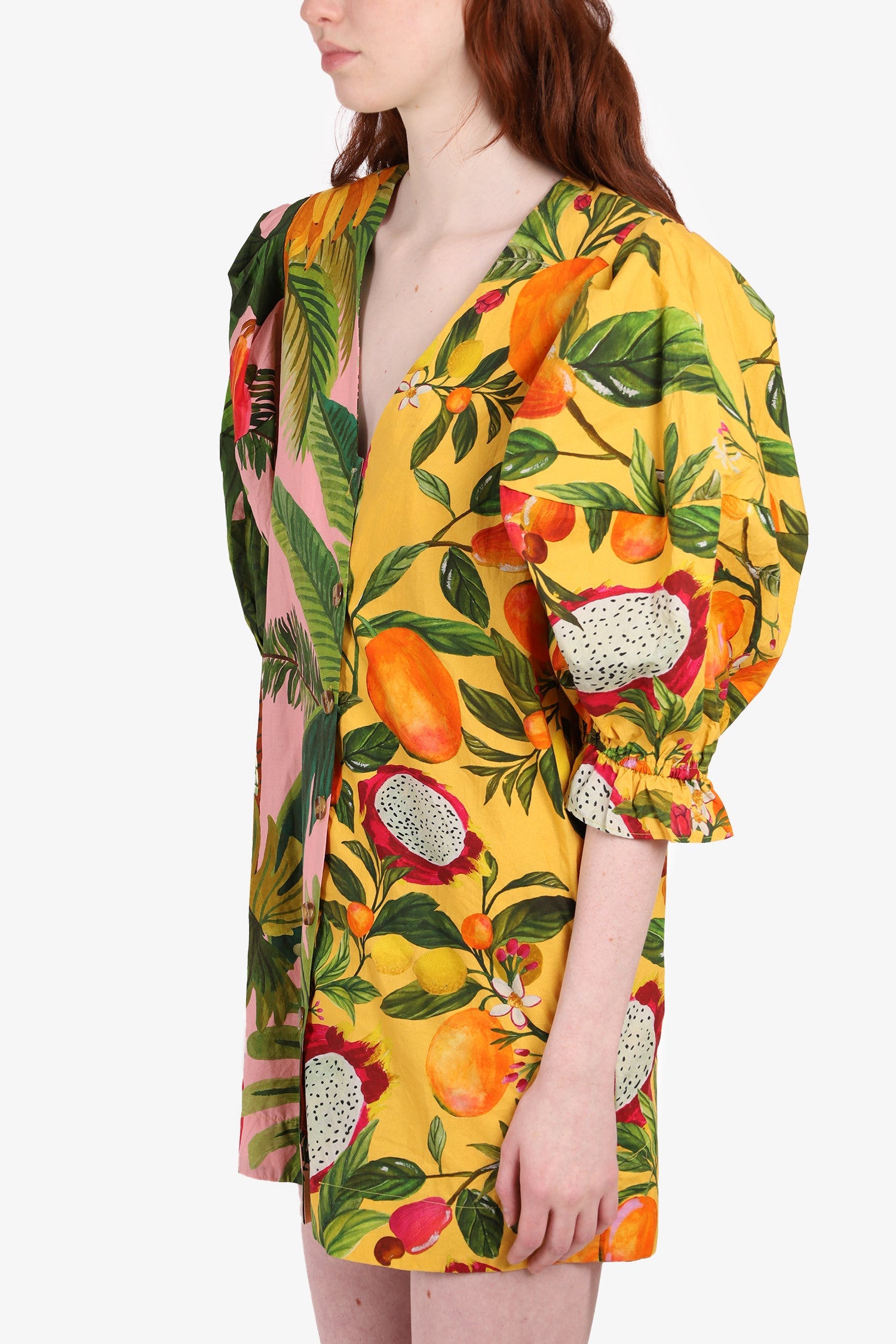 Farm Rio Multicolor Floral Print Puff Sleeve Mini Dress Size S
