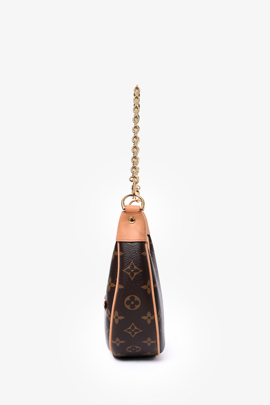 Louis Vuitton Monogram Loop Chain Shoulder Bag
