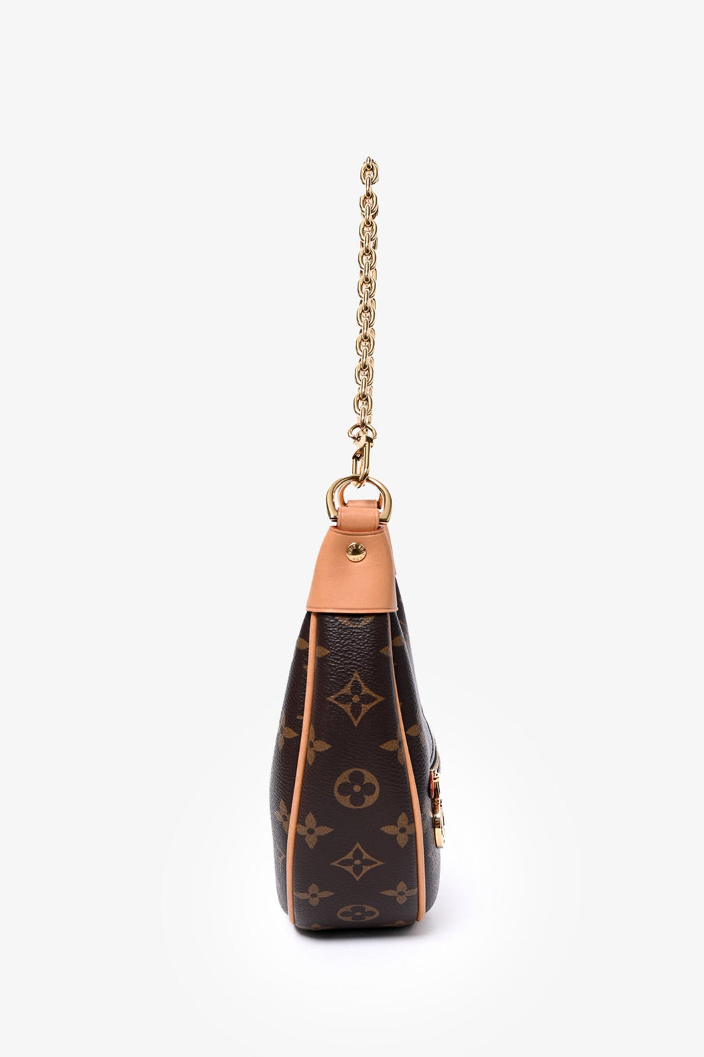 Louis Vuitton Monogram Loop Chain Shoulder Bag