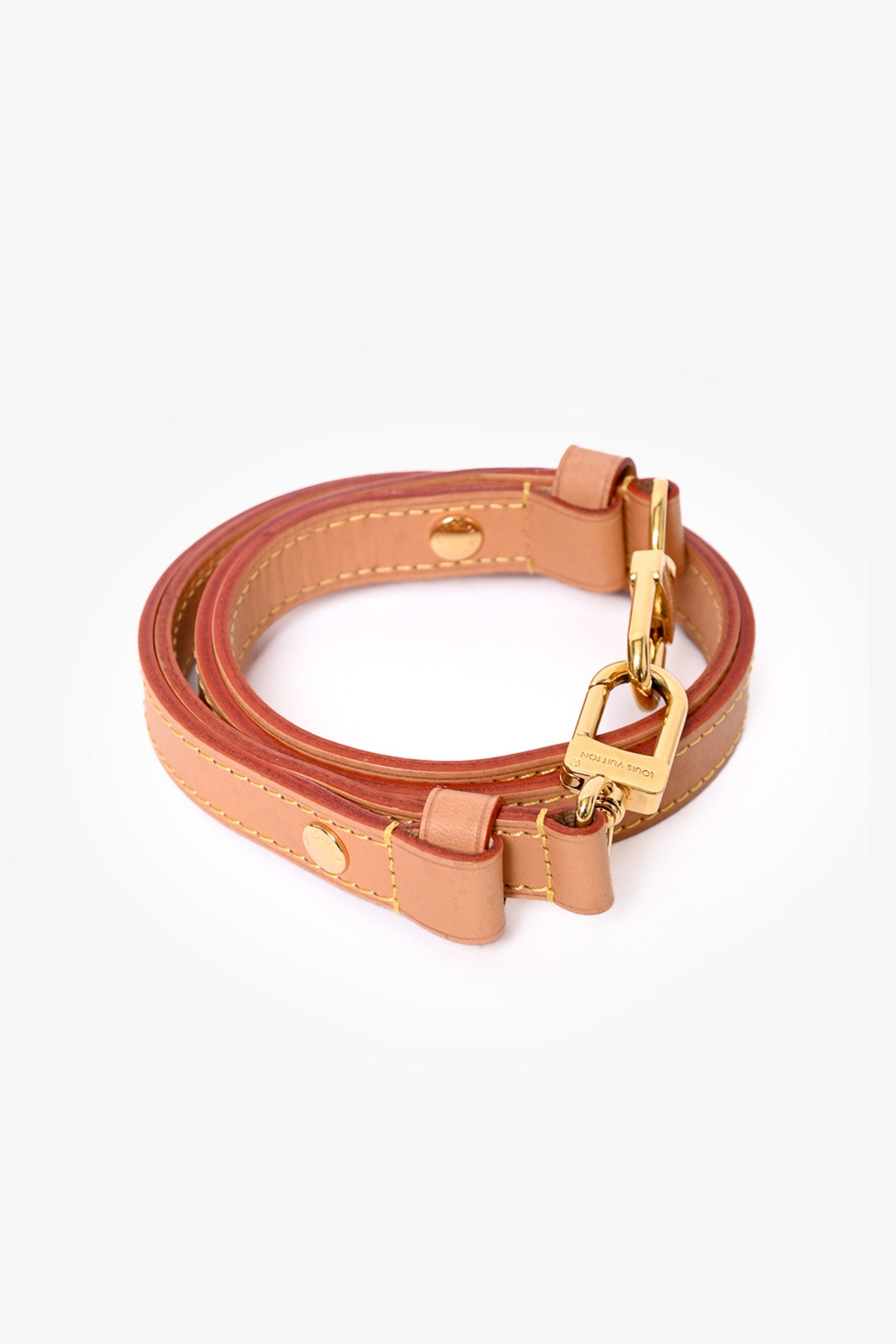 Louis Vuitton Monogram Loop Chain Shoulder Bag