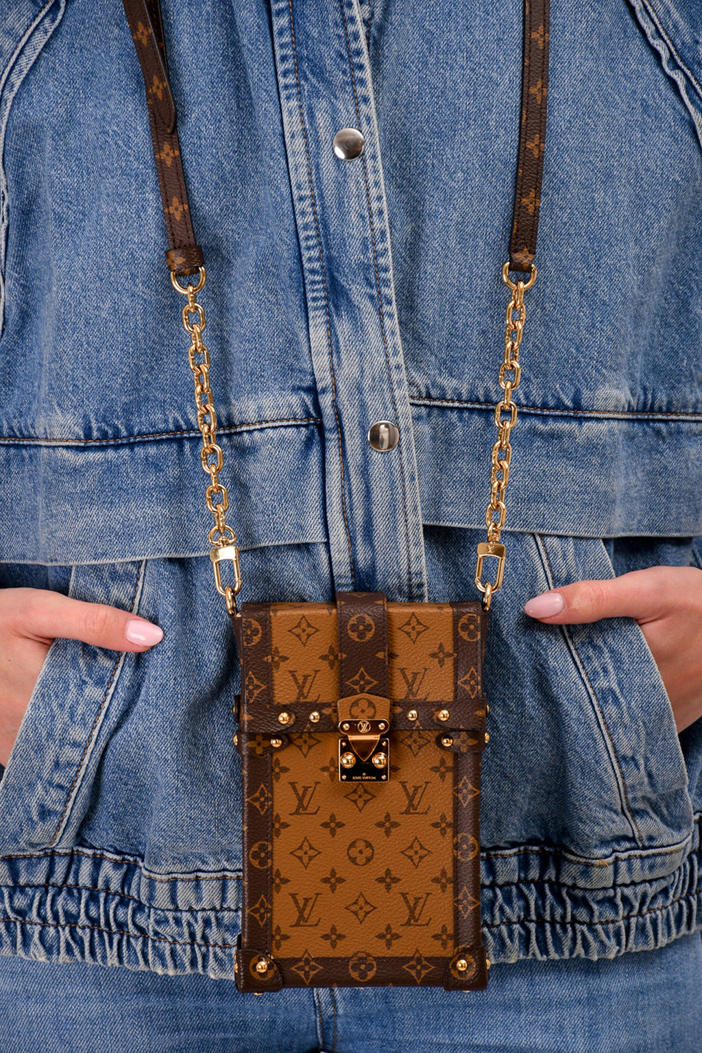 Louis Vuitton 2019 Monogram Reverse Pochette Trunk Crossbody with Strap