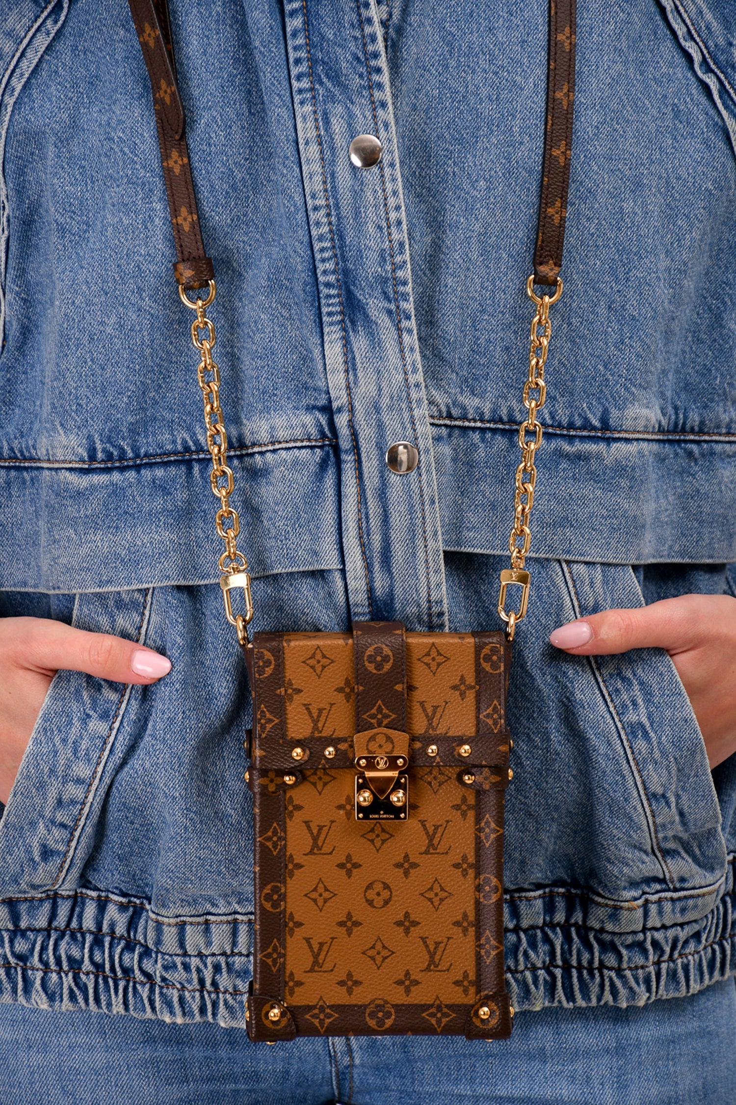 Louis Vuitton 2019 Monogram Reverse Pochette Trunk Crossbody with Strap