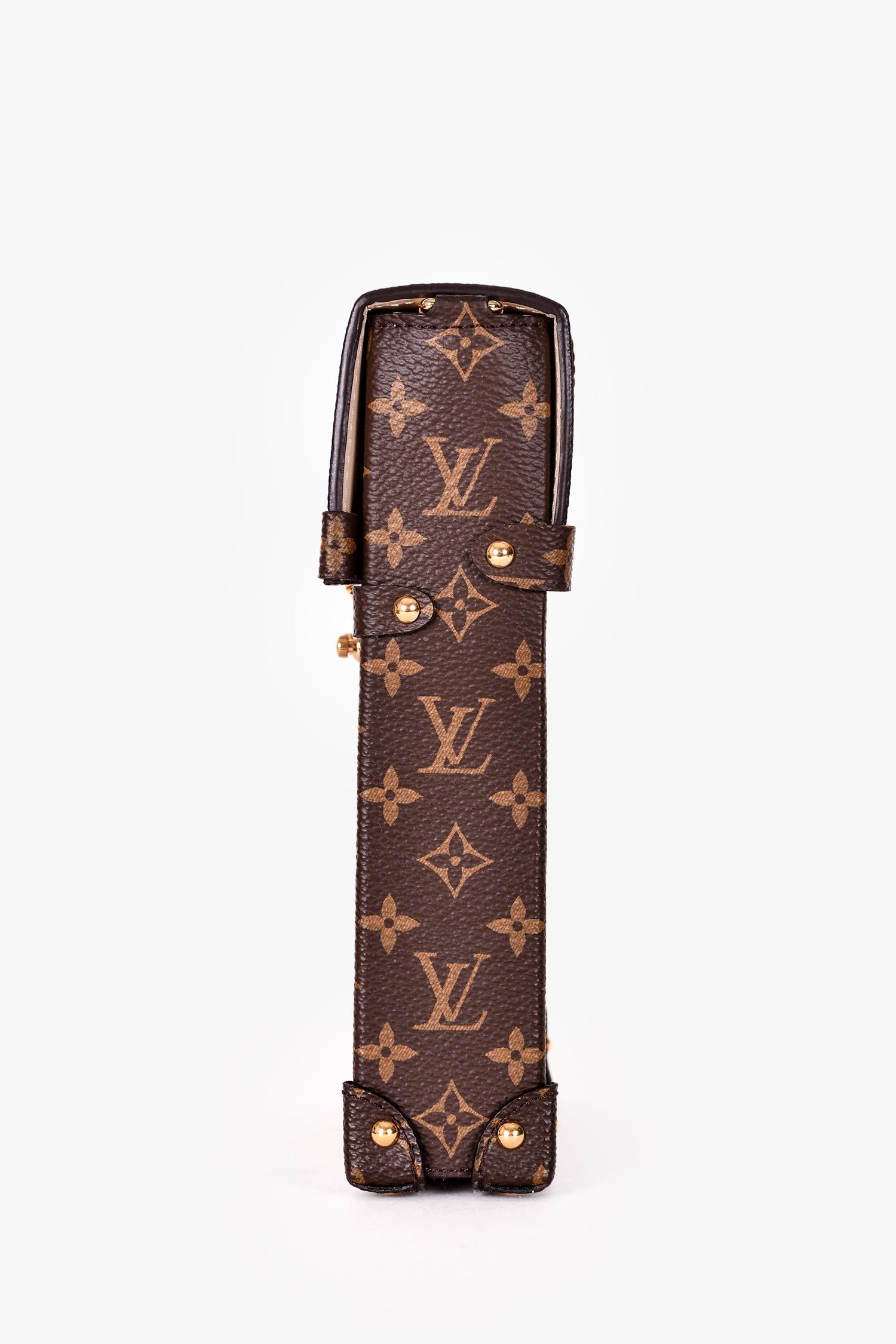 Louis Vuitton 2019 Monogram Reverse Pochette Trunk Crossbody with Strap