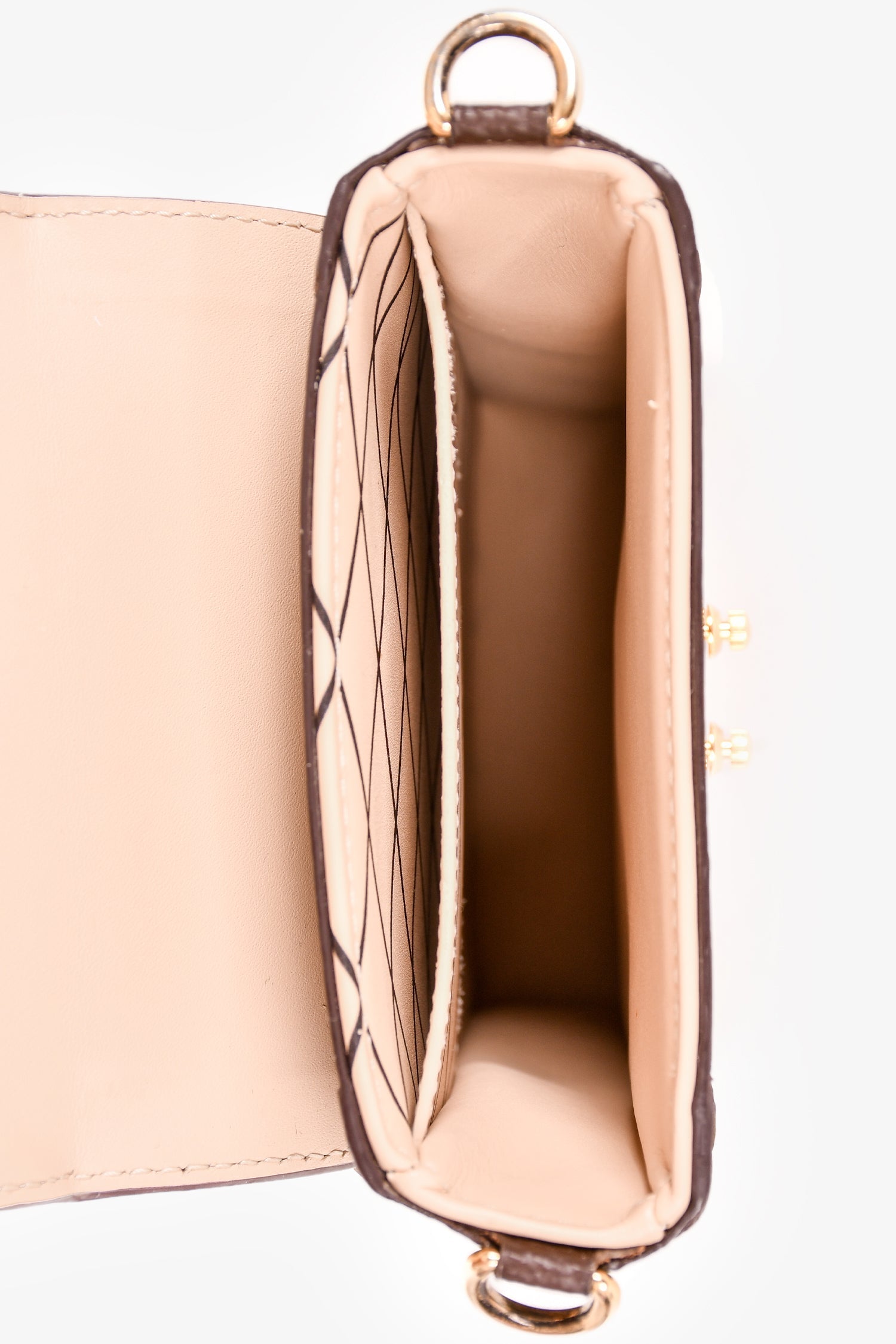 Louis Vuitton 2019 Monogram Reverse Pochette Trunk Crossbody with Strap