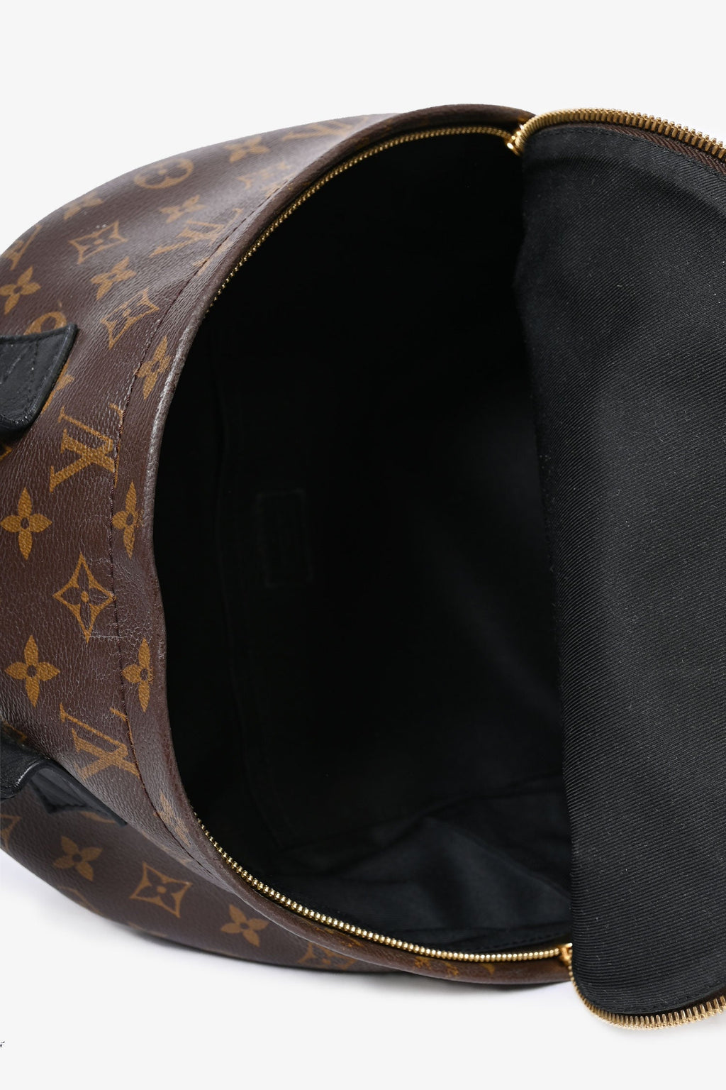 Louis Vuitton Monogram Palm Springs Backpack MM