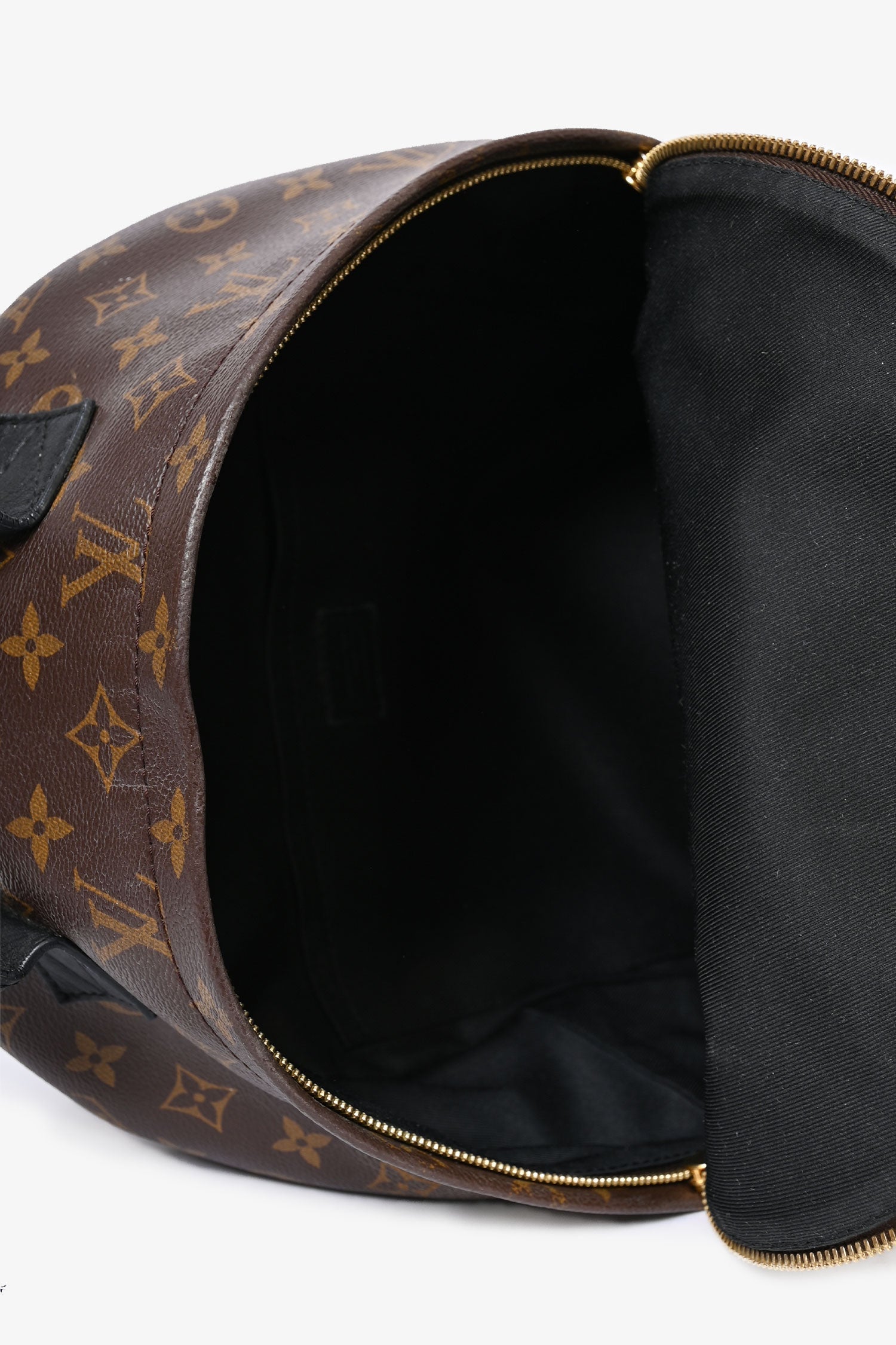 Louis Vuitton Monogram Palm Springs Backpack MM