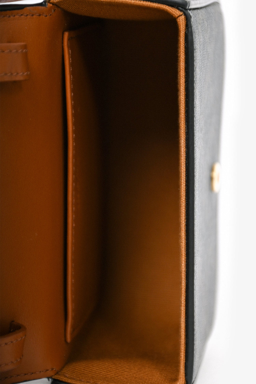 Celine Triomphe Canvas Mini Claude Belt Bag