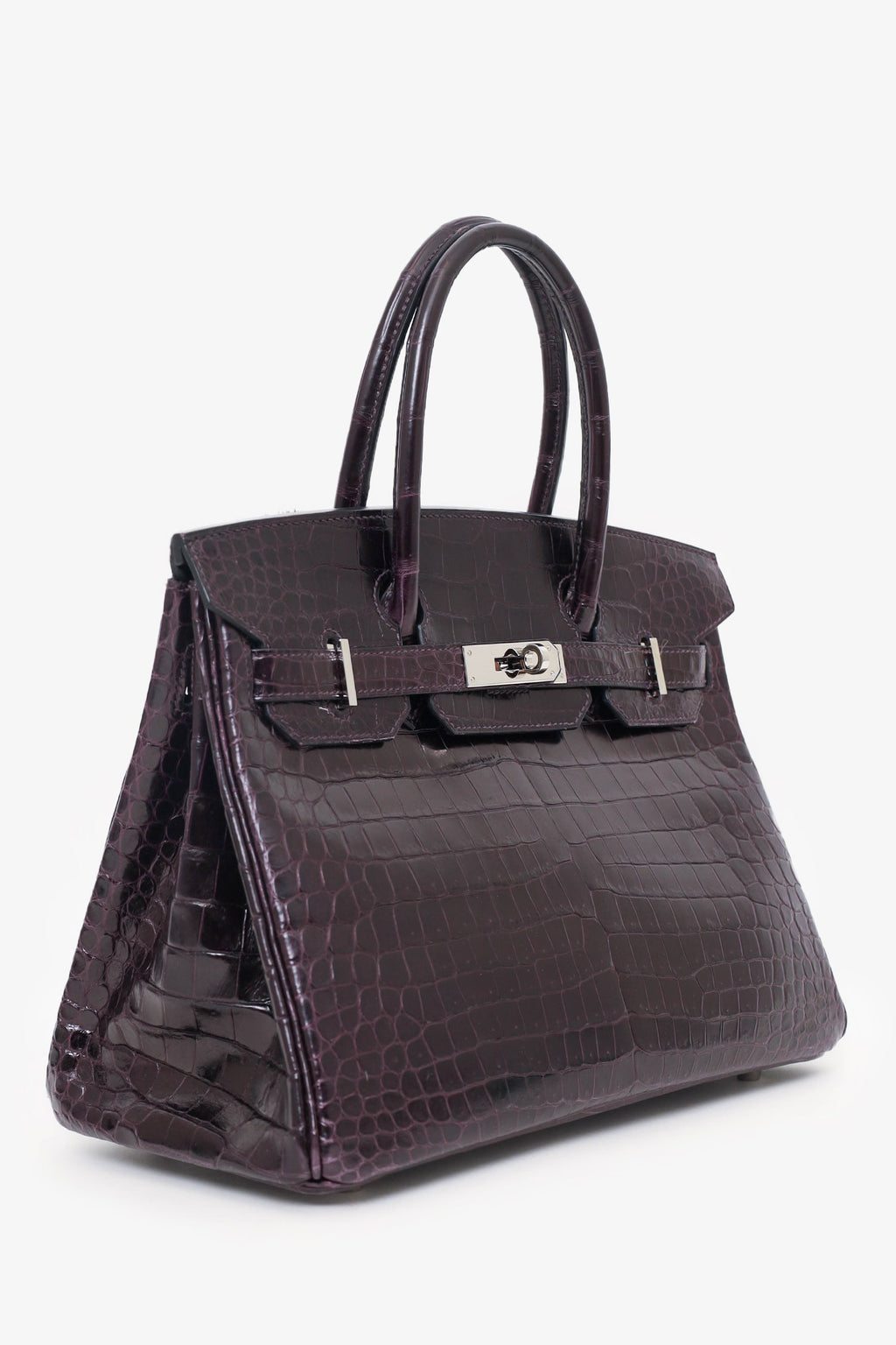Hermes 2015 Dark Purple Matte Porosus Crocodile Birkin 30