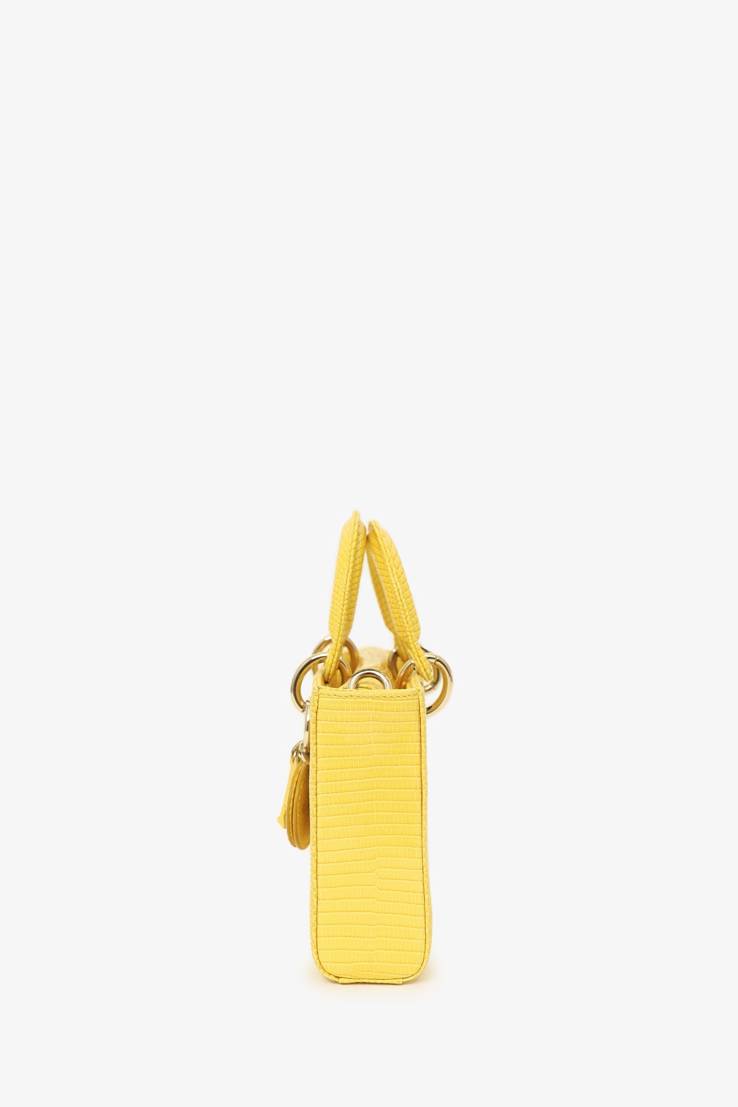 Christian Dior 2016 Lizard Leather Medium D-Joy Bag with Strap