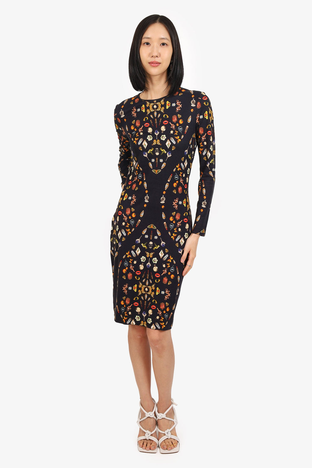 Alexander McQueen Obsession Talisman Print Midi Dress Size 40