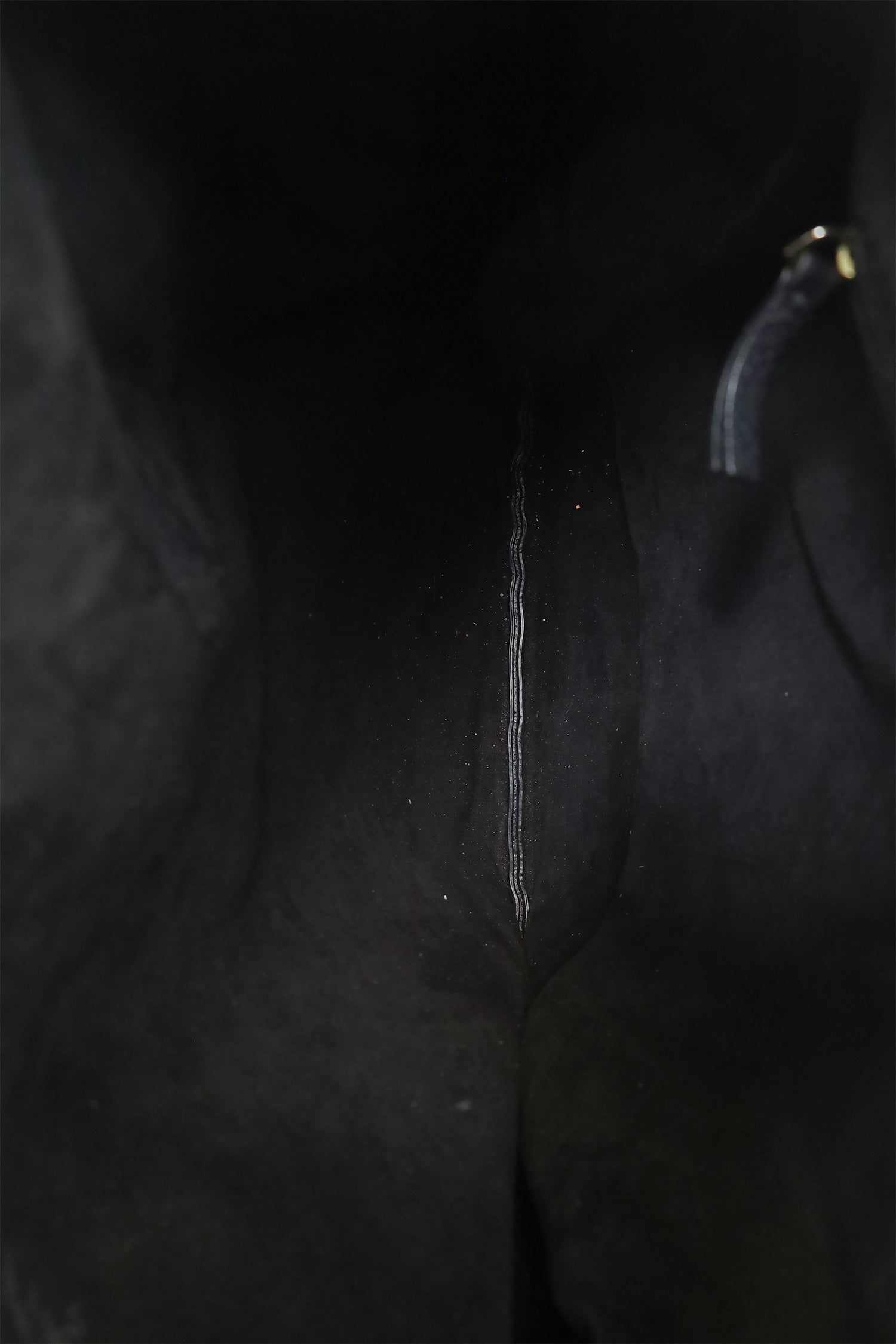 The Row Black Leather Medium Everyday Shoulder Bag
