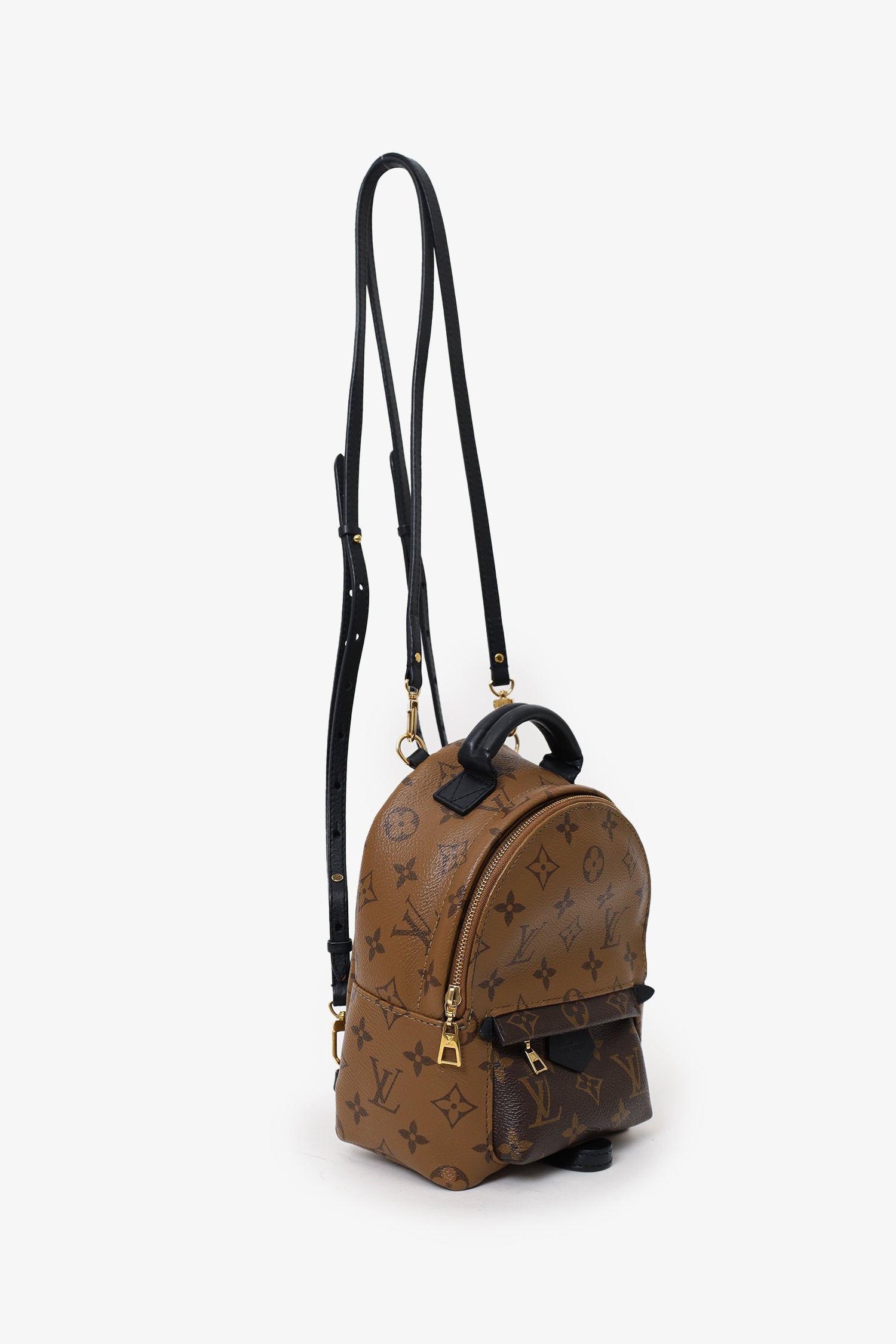 Louis Vuitton 2019 Reverse Monogram 'Palm Springs' Mini Backpack