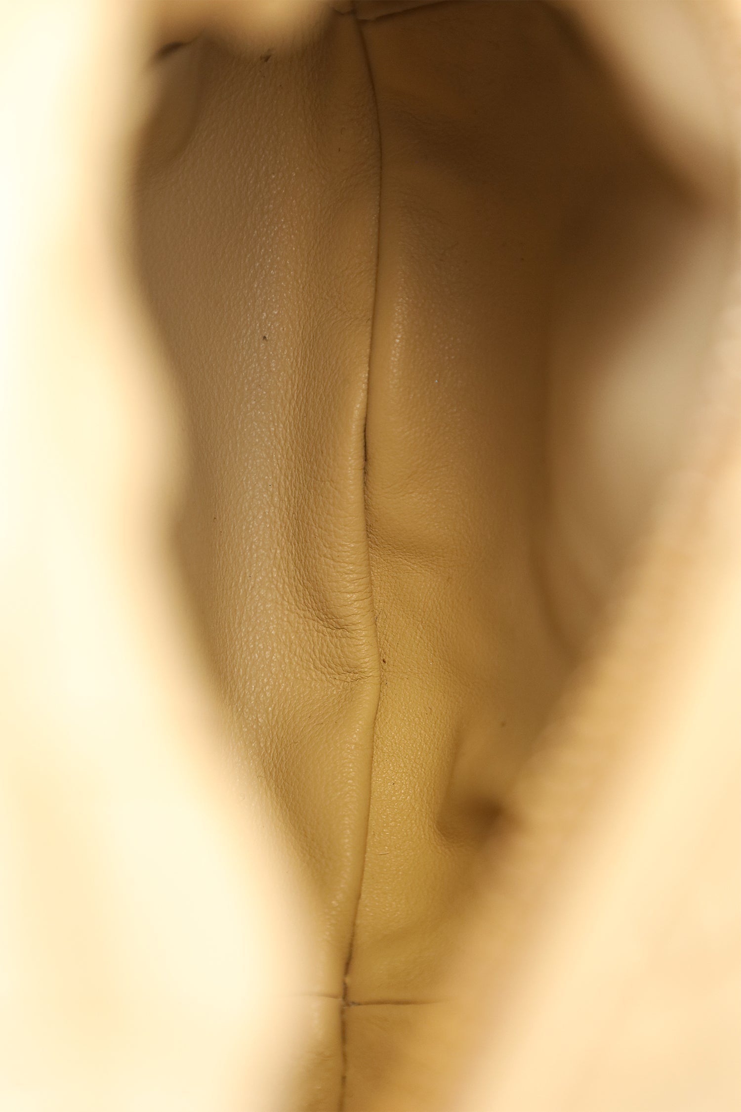 Bottega Veneta Beige Intrecciato Leather Mini Jodie