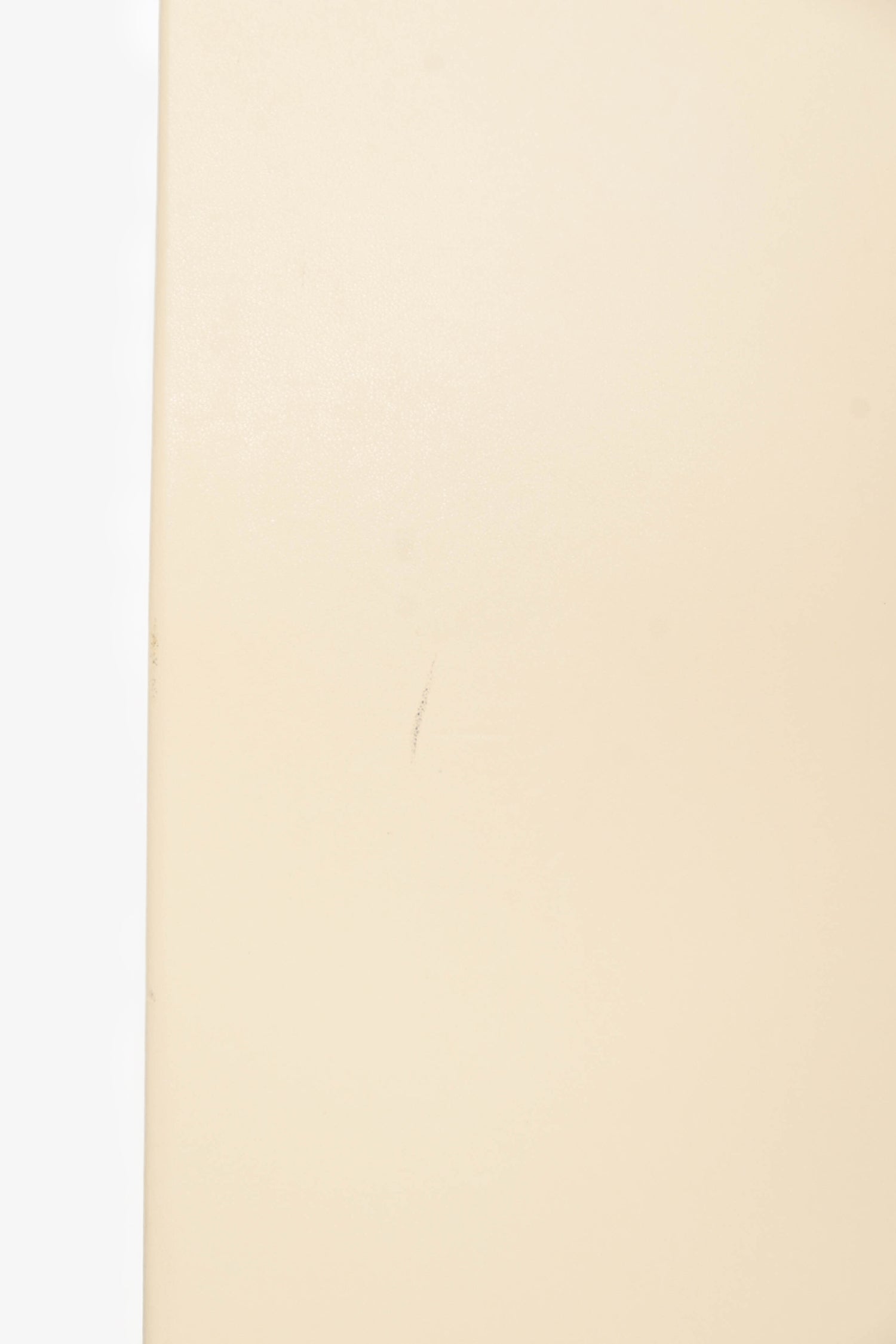 Stella McCartney Cream Leather Flat Tote