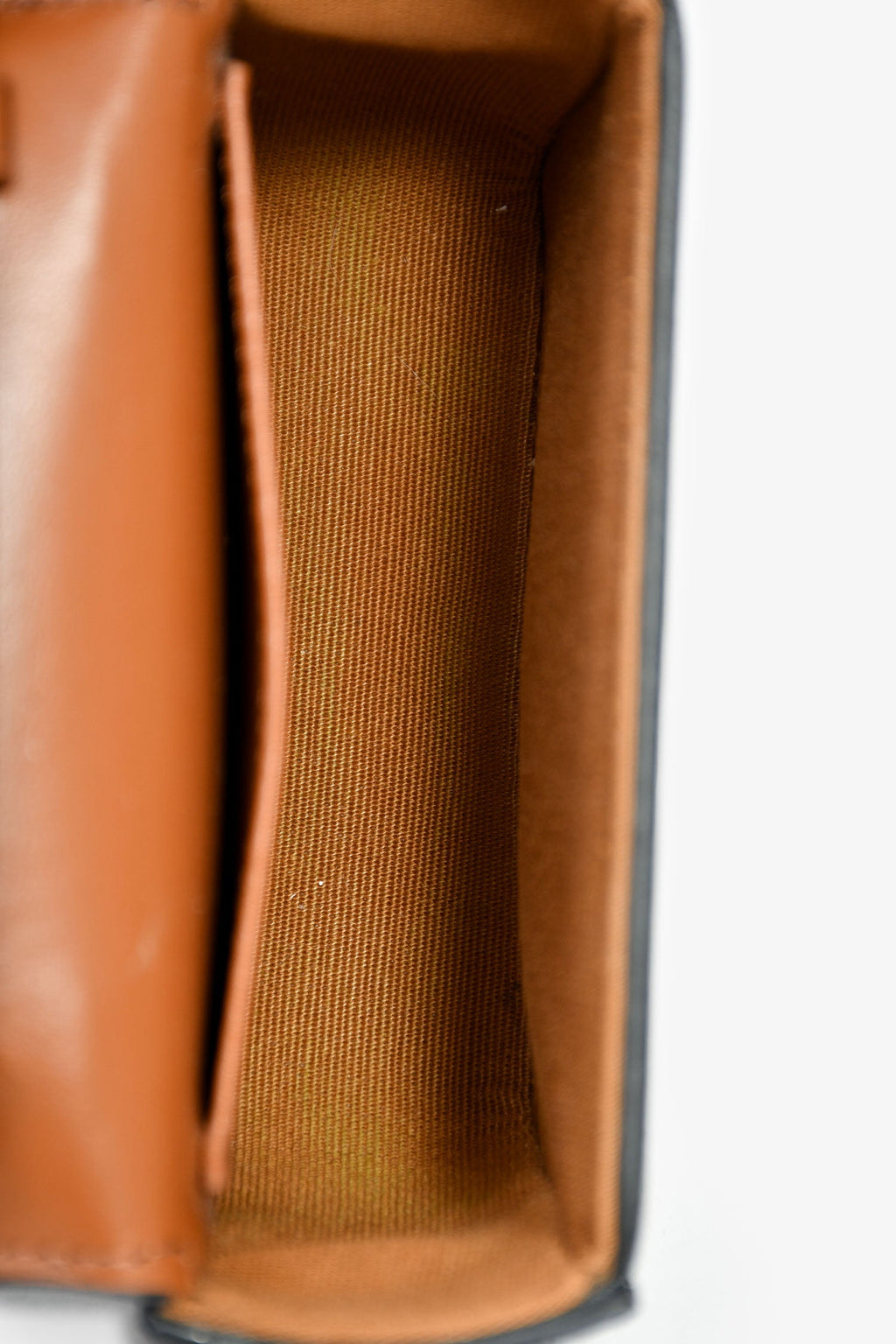 Celine Triomphe Canvas Mini Claude Crossbody Bag