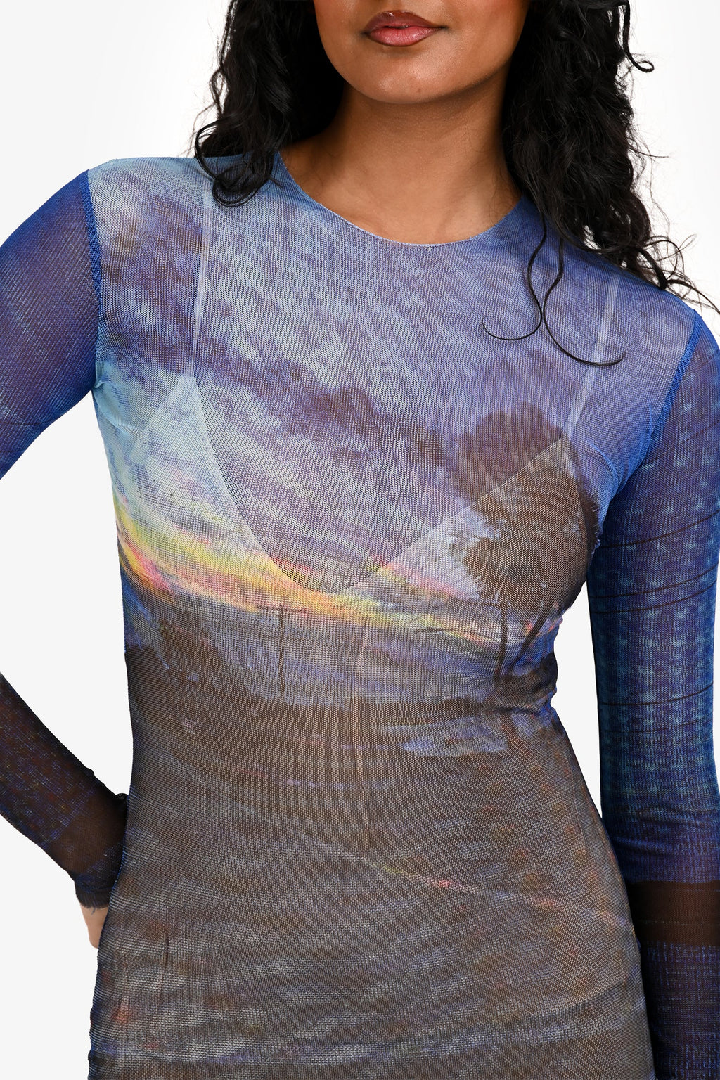 Louisa Ballou Blue Printed Sheer Long Sleeve Maxi Dress Size XS