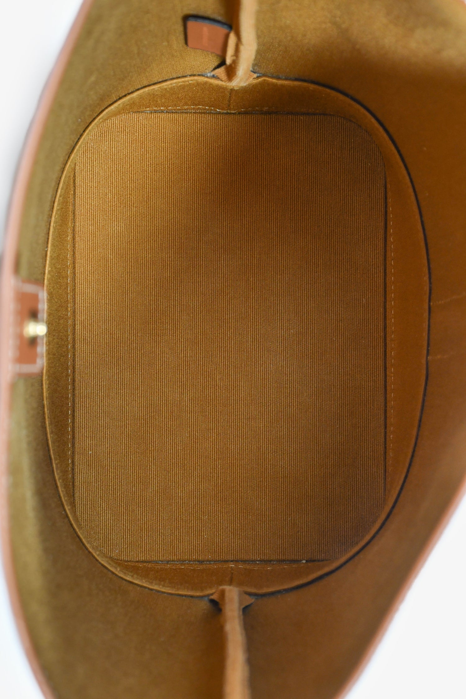 Celine Triomphe Canvas Small Crossbody Bucket Bag