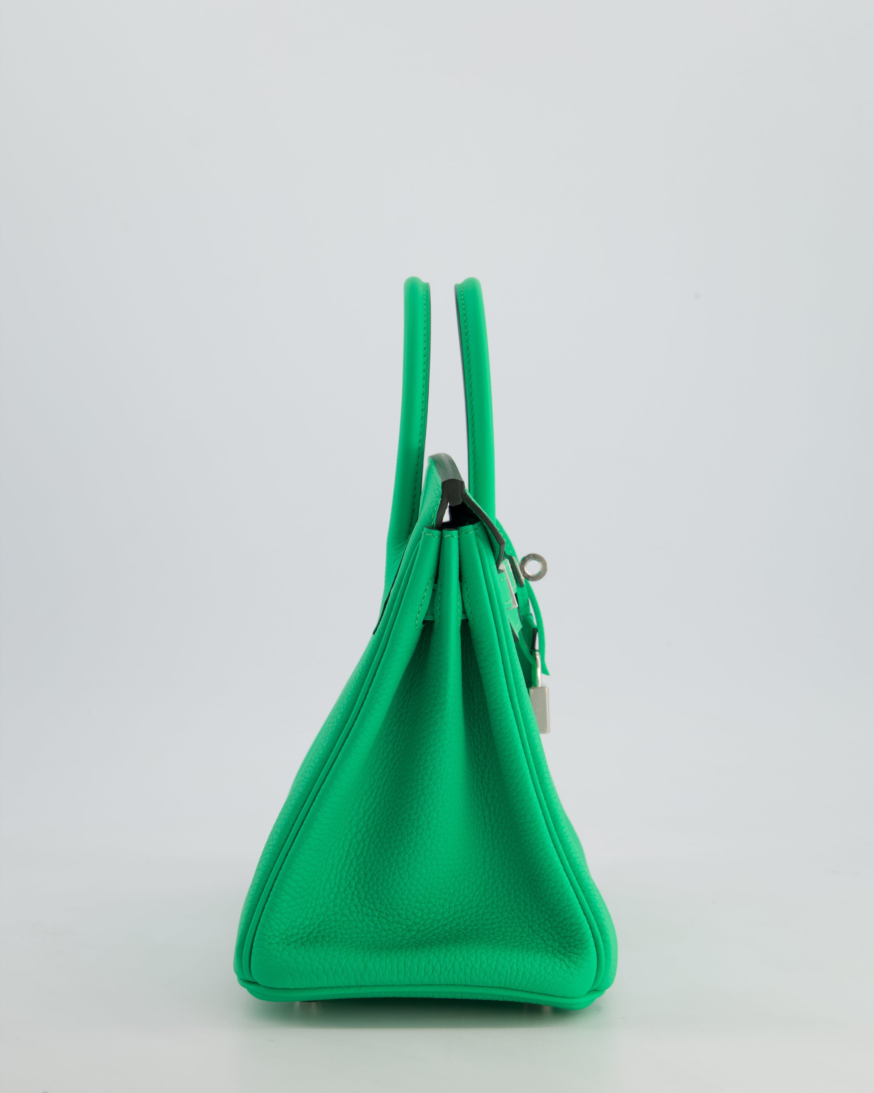 Hermès Birkin 25 Retourne Bag in Vert Comics Togo Leather with Palladium Hardware
