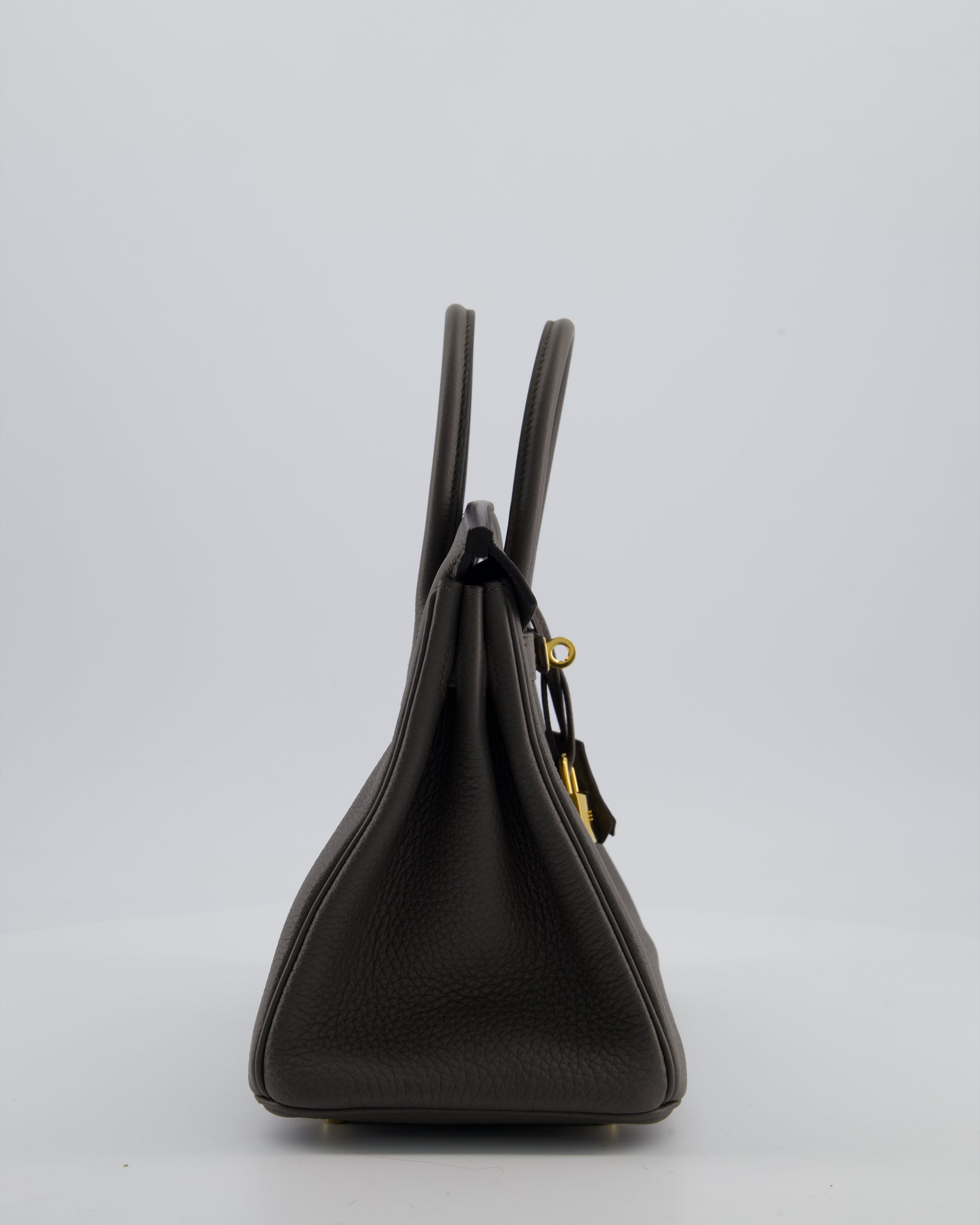 Hermès Birkin 25 Retourne Bag in Gris Etain Togo Leather with Gold Hardware