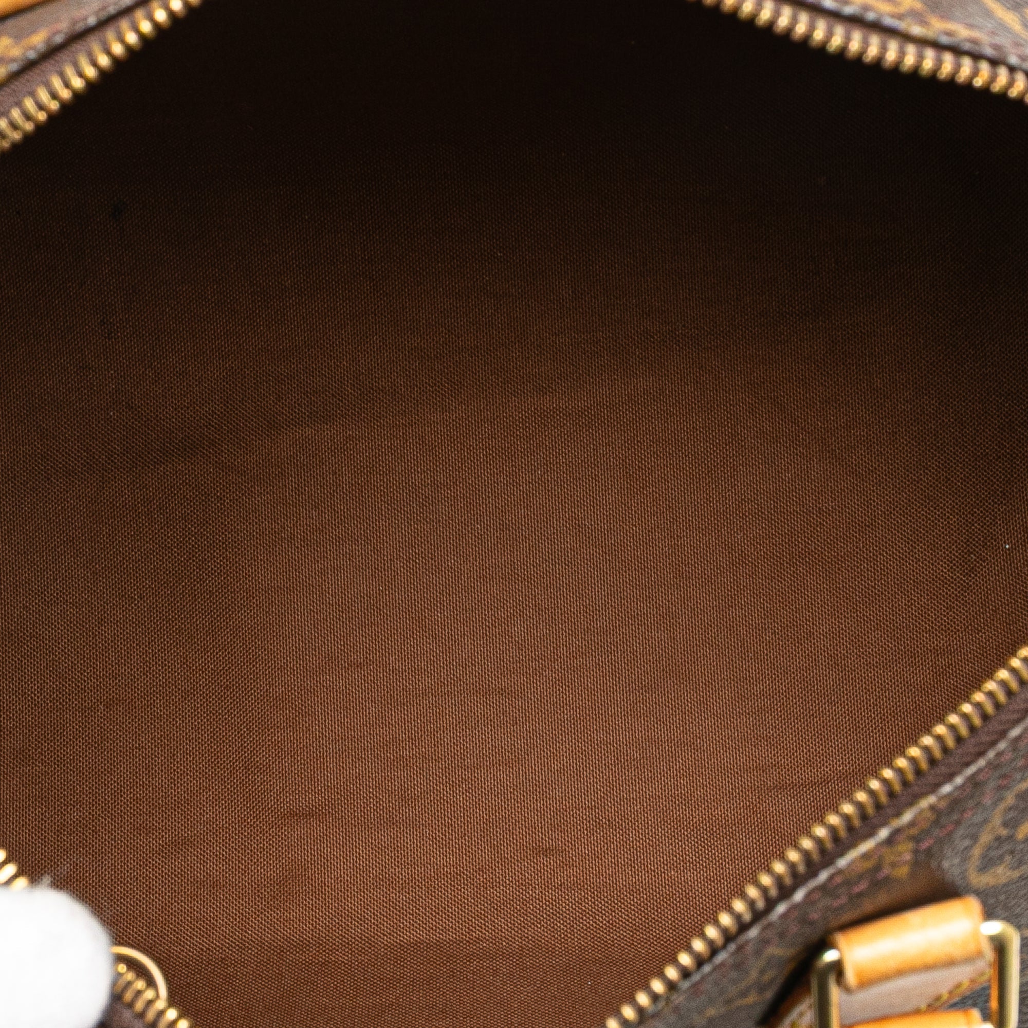 Speedy Handbag Monogram Canvas 30