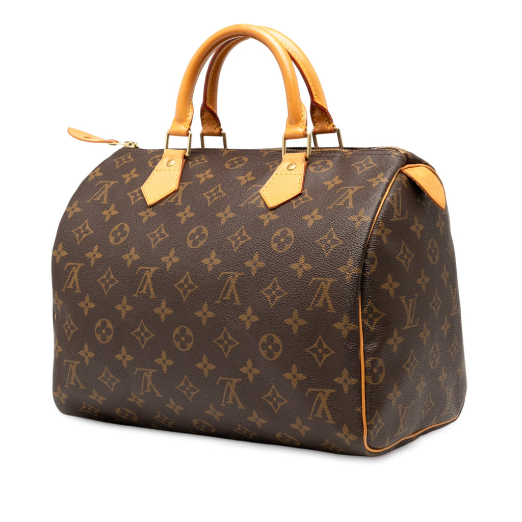 Speedy Handbag Monogram Canvas 30