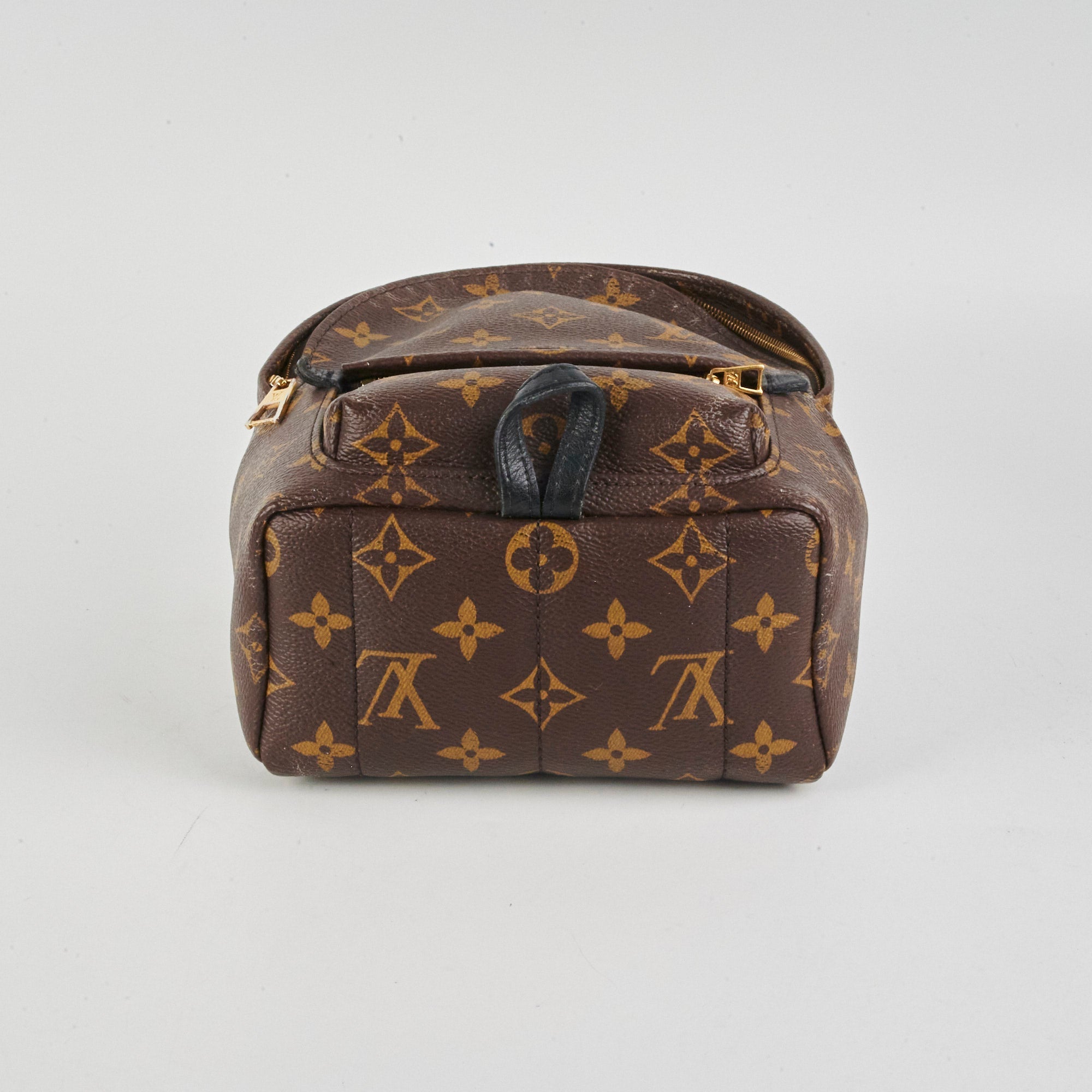 Louis Vuitton Palm Springs Mini Monogram Backpack