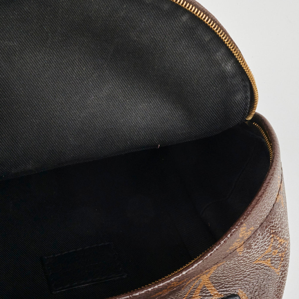 Louis Vuitton Palm Springs Mini Monogram Backpack