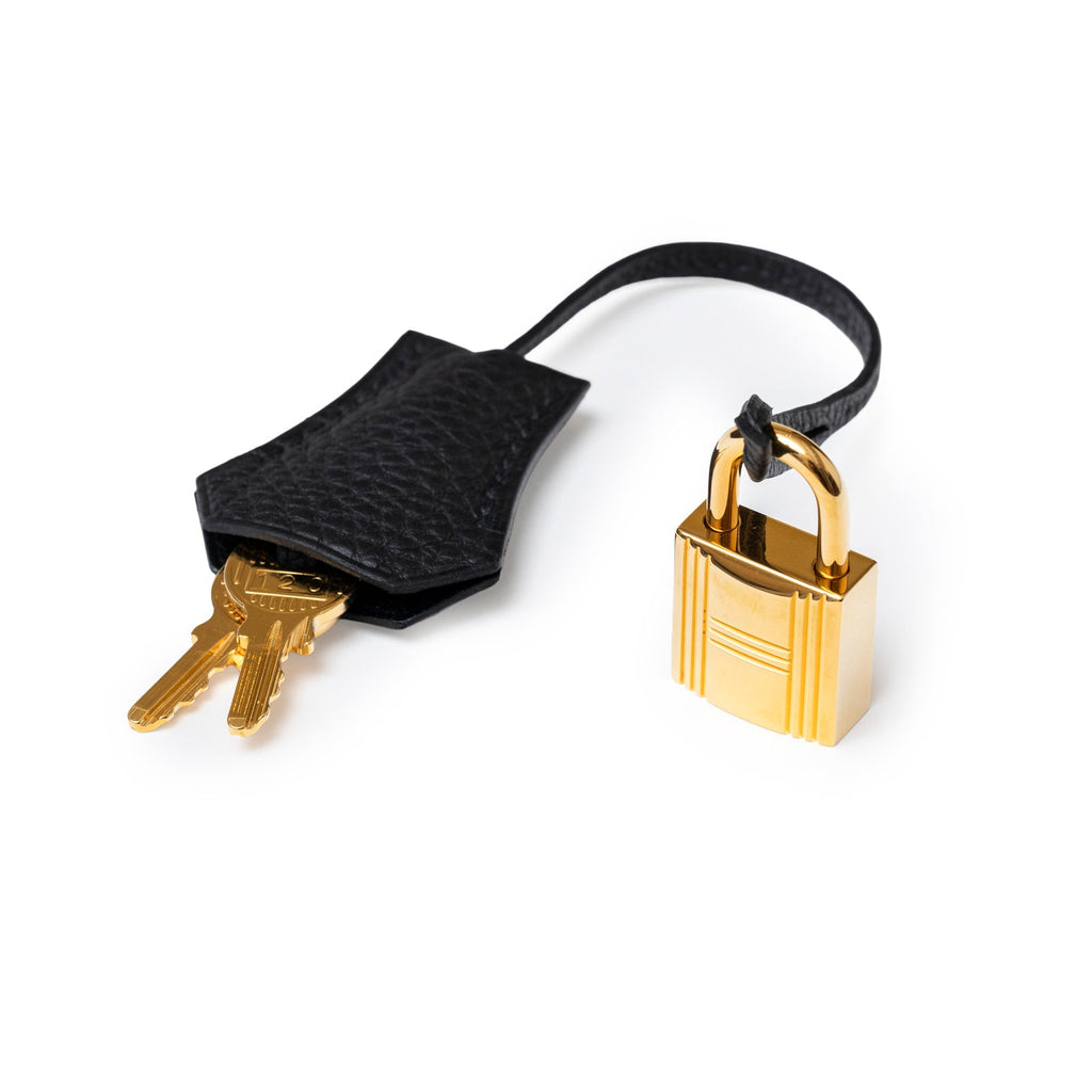 Hermès Birkin 25 Black Togo Gold Hardware