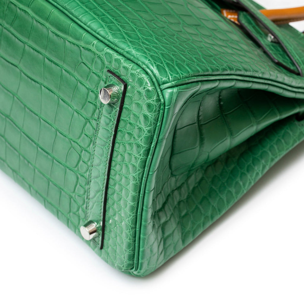 Hermès Birkin 30 Touch Cactus/Naturel-Sable Matte Alligator Palladium Hardware