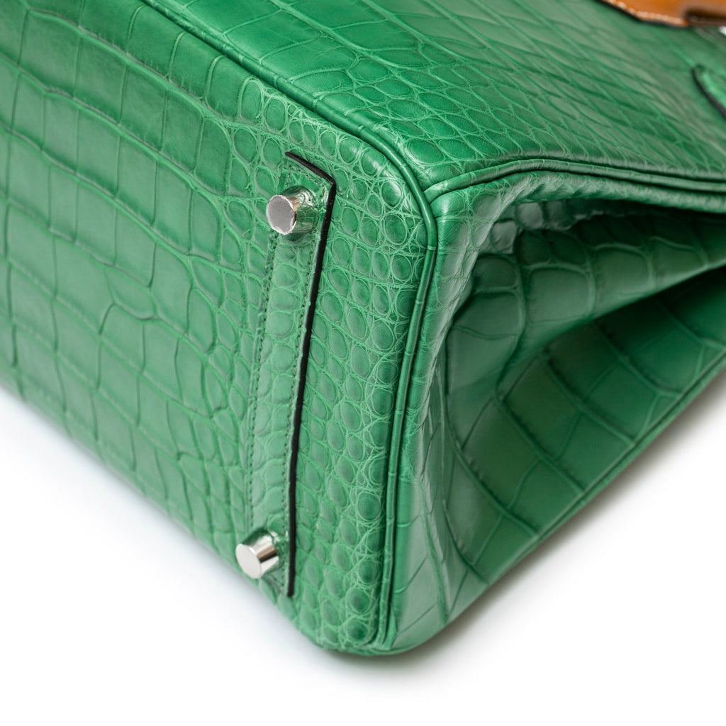 Hermès Birkin 30 Touch Cactus/Naturel-Sable Matte Alligator Palladium Hardware
