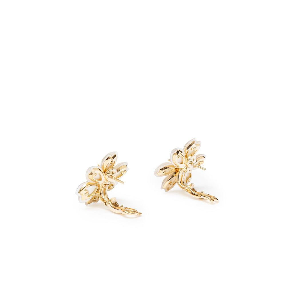 Van Cleef & Arpels Rose de Noël Earrings Mini 18K yellow gold Diamond/Mother-of-pear