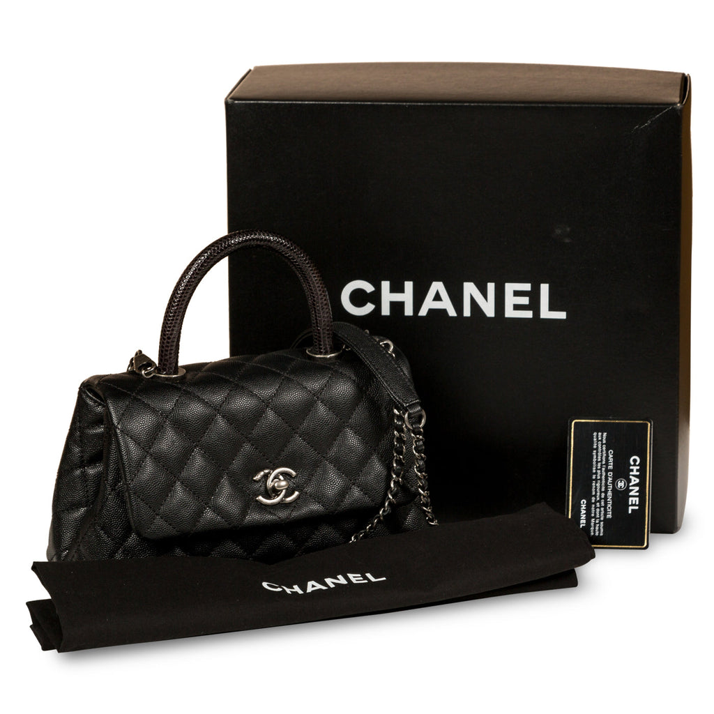 Chanel Coco Handle - Small - Lizard Handle