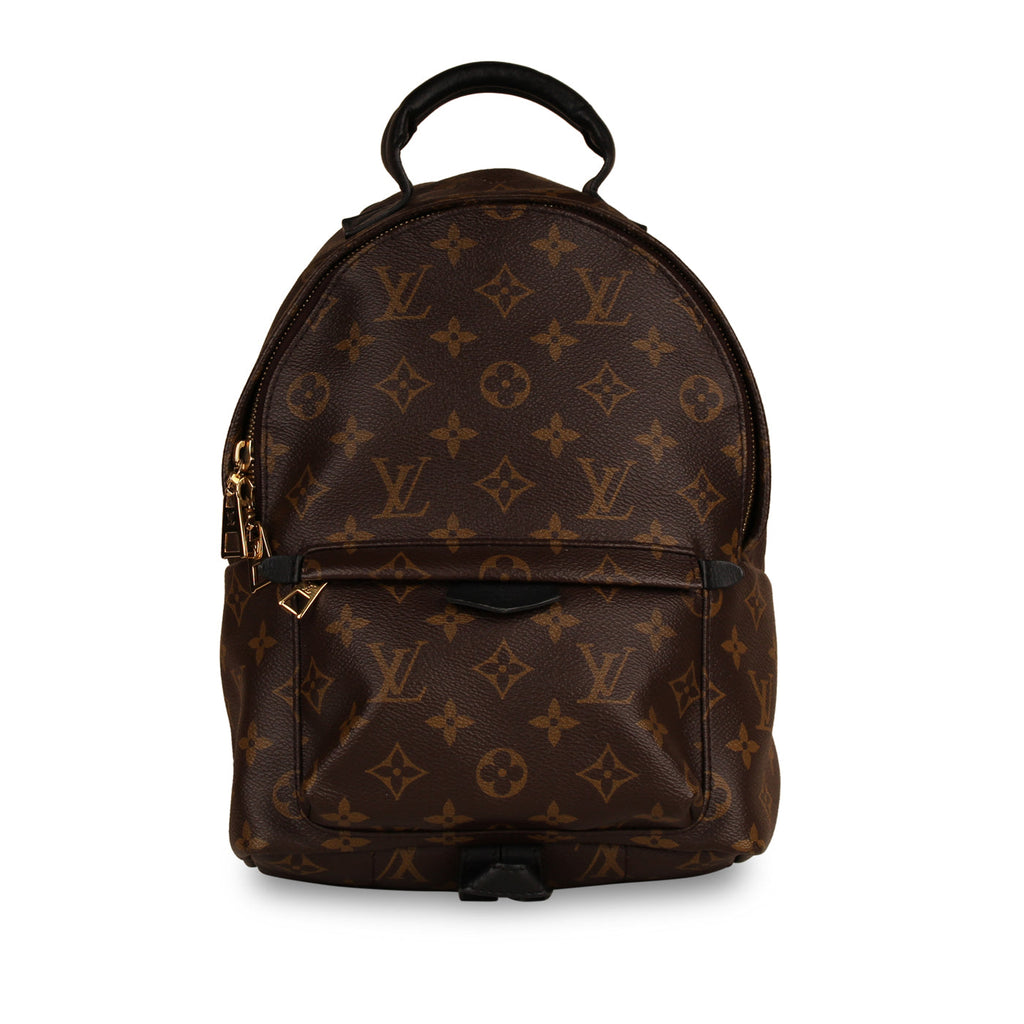 Louis Vuitton Palm Springs Backpack PM
