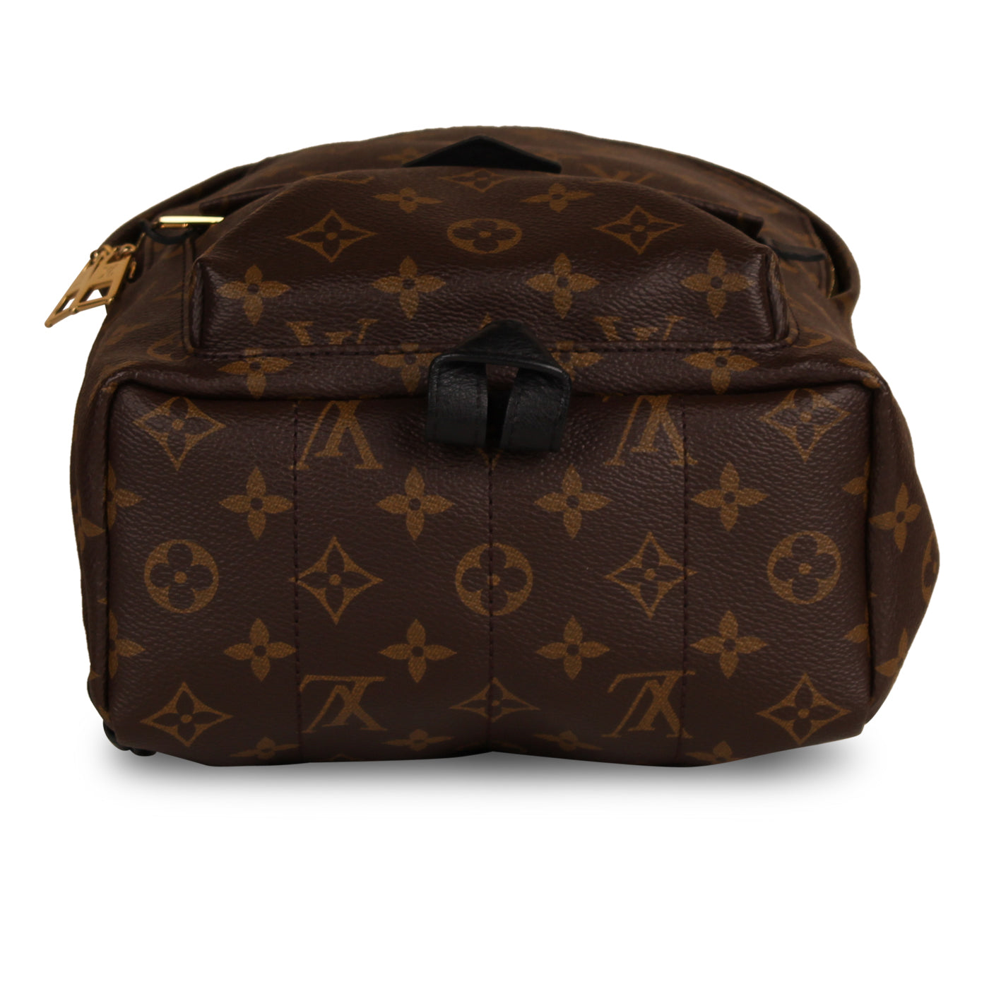 Louis Vuitton Palm Springs Backpack PM