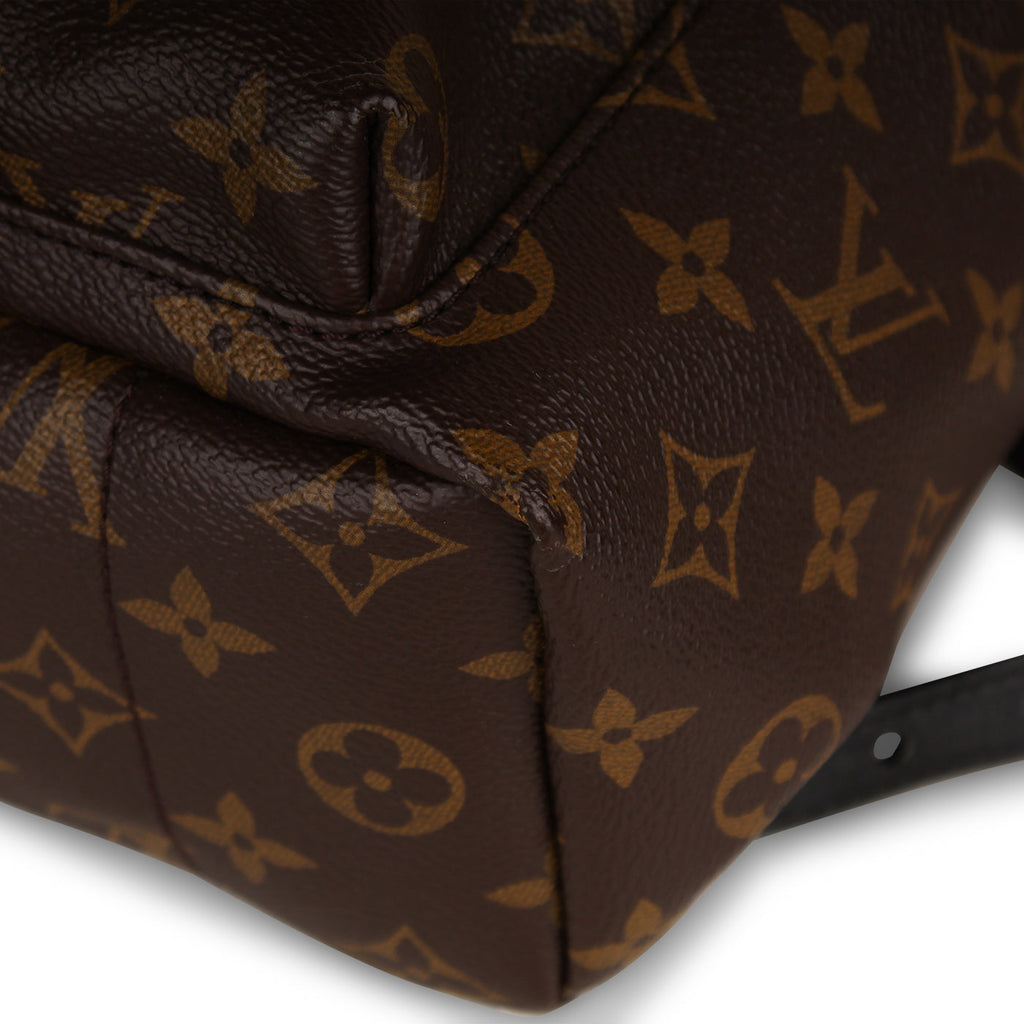 Louis Vuitton Palm Springs Backpack PM