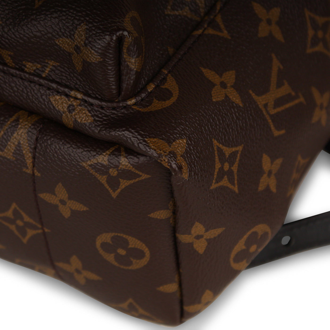 Louis Vuitton Palm Springs Backpack PM