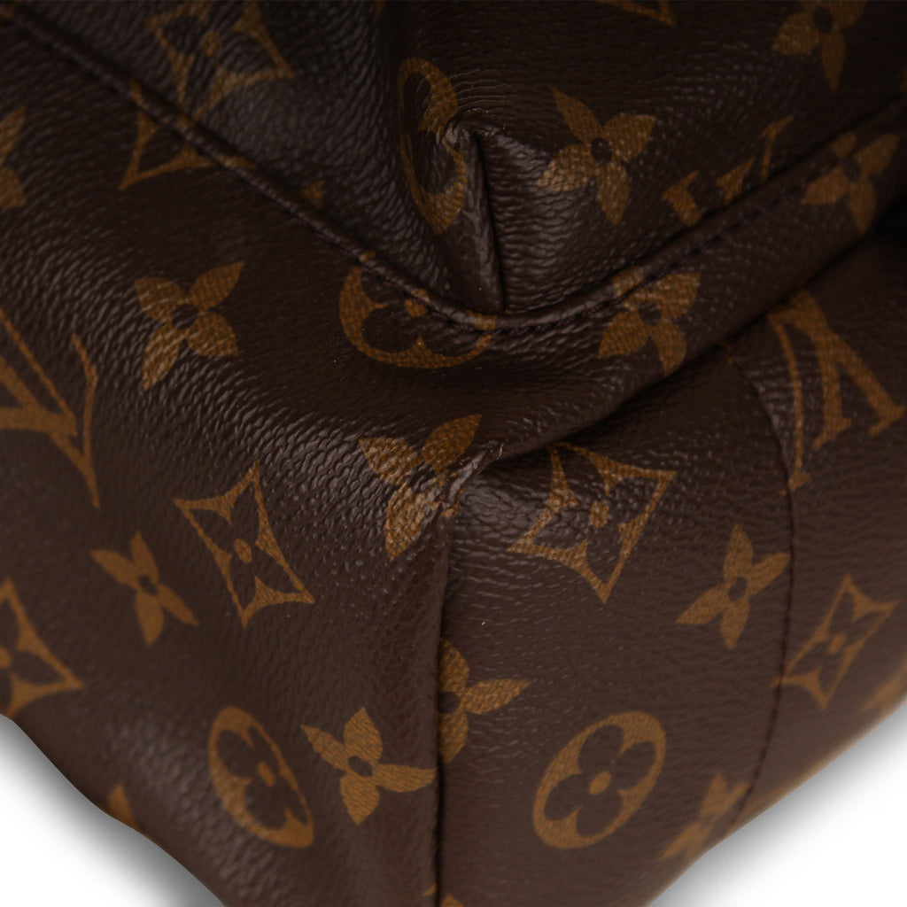 Louis Vuitton Palm Springs Backpack PM