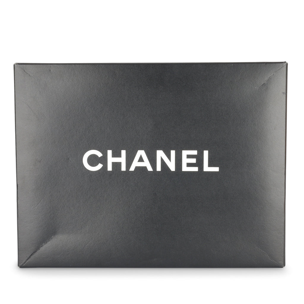 Chanel Jumbo Seasonal Flap Bag - Grey